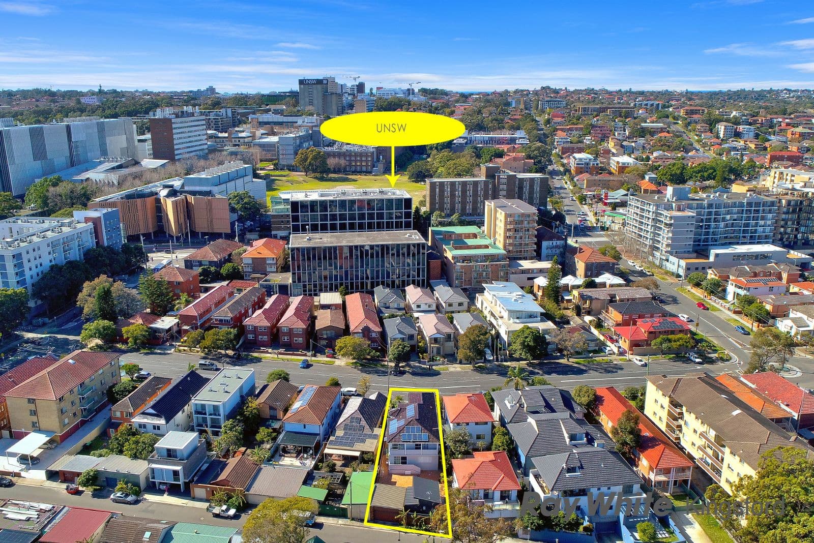 19 Houston Road, Kensington NSW 2033, Kensington - Thumbnail 5