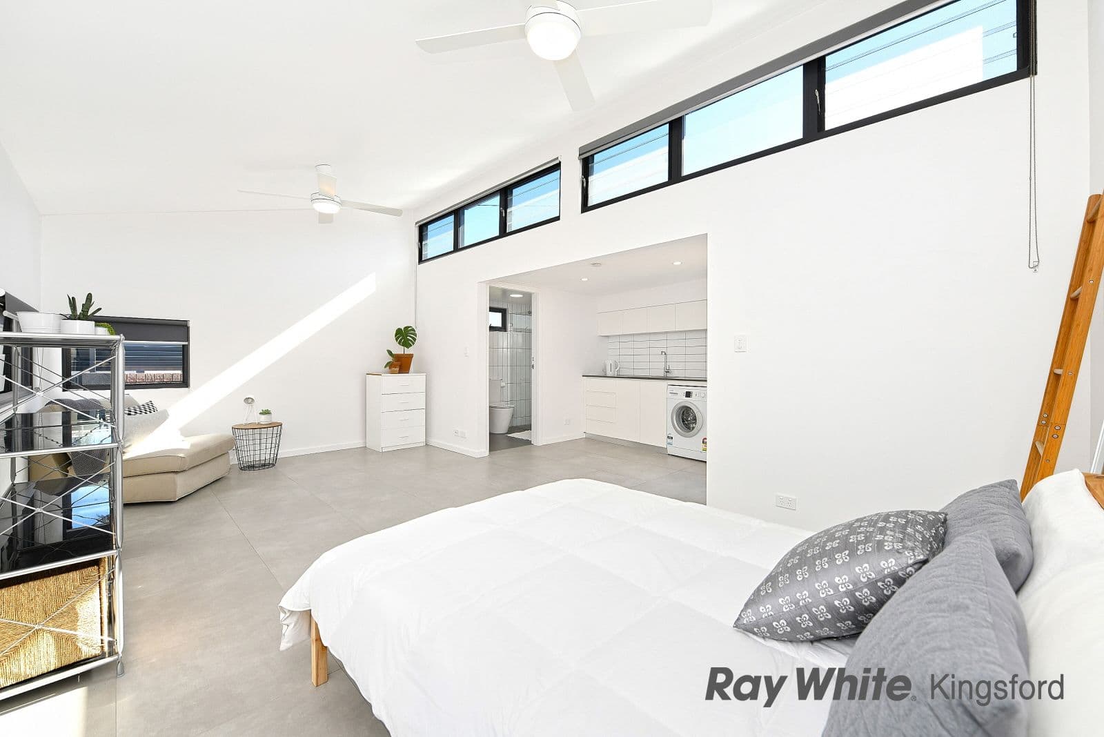 19 Houston Road, Kensington NSW 2033, Kensington - Thumbnail 8