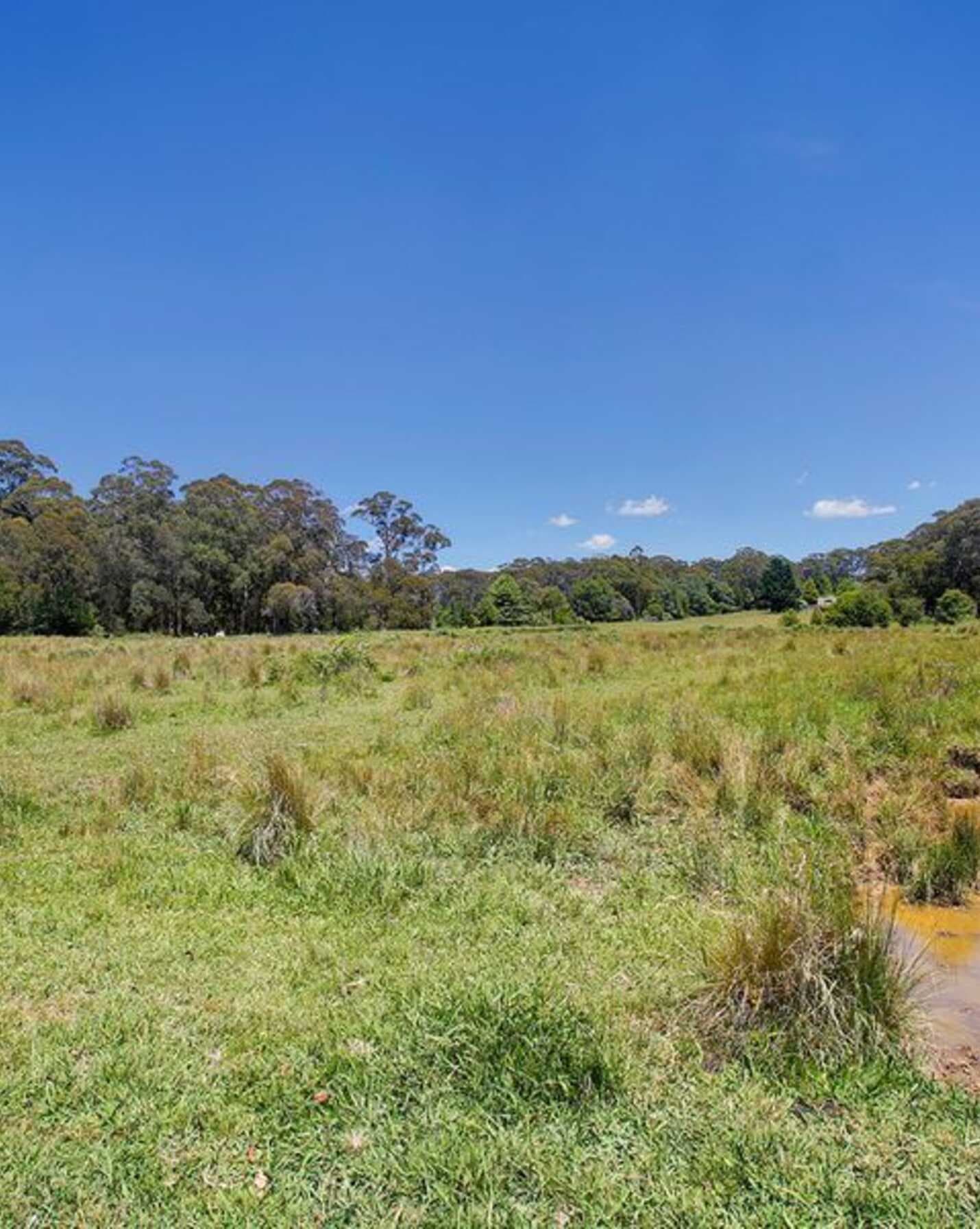 45 Clearys Lane Wildes Meadow, Meadow - Thumbnail 6