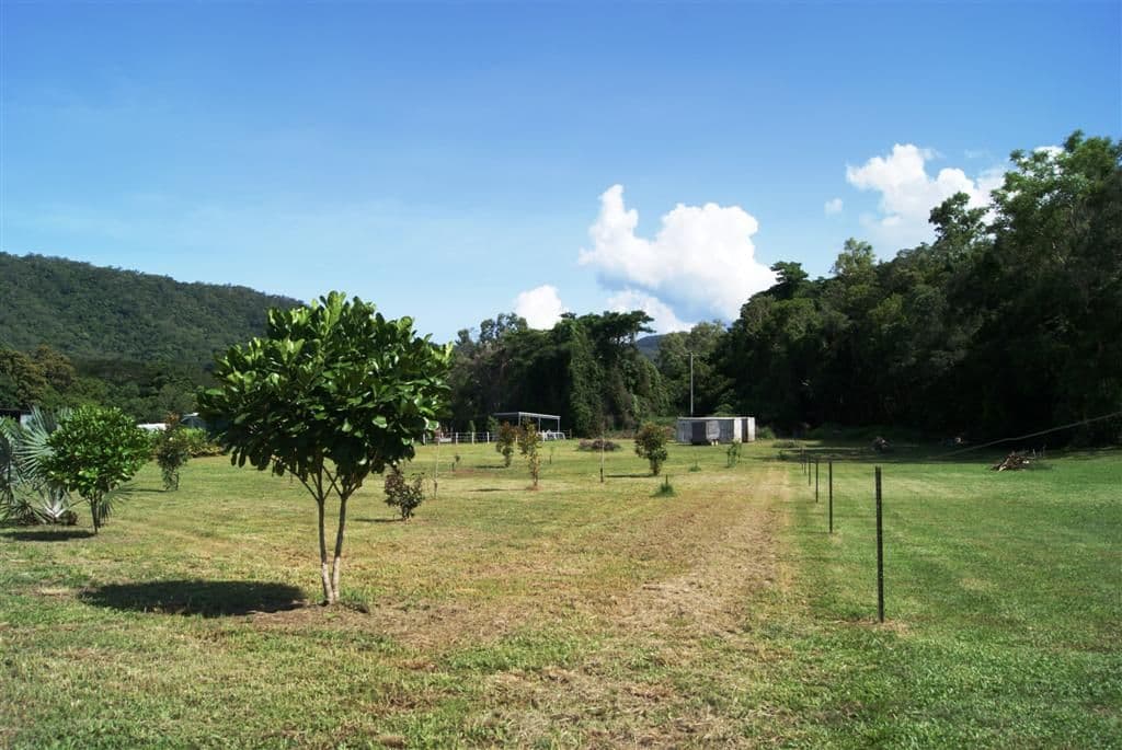 354 Mowbray River Road, Mowbray QLD 4877, Mowbray - Thumbnail 4