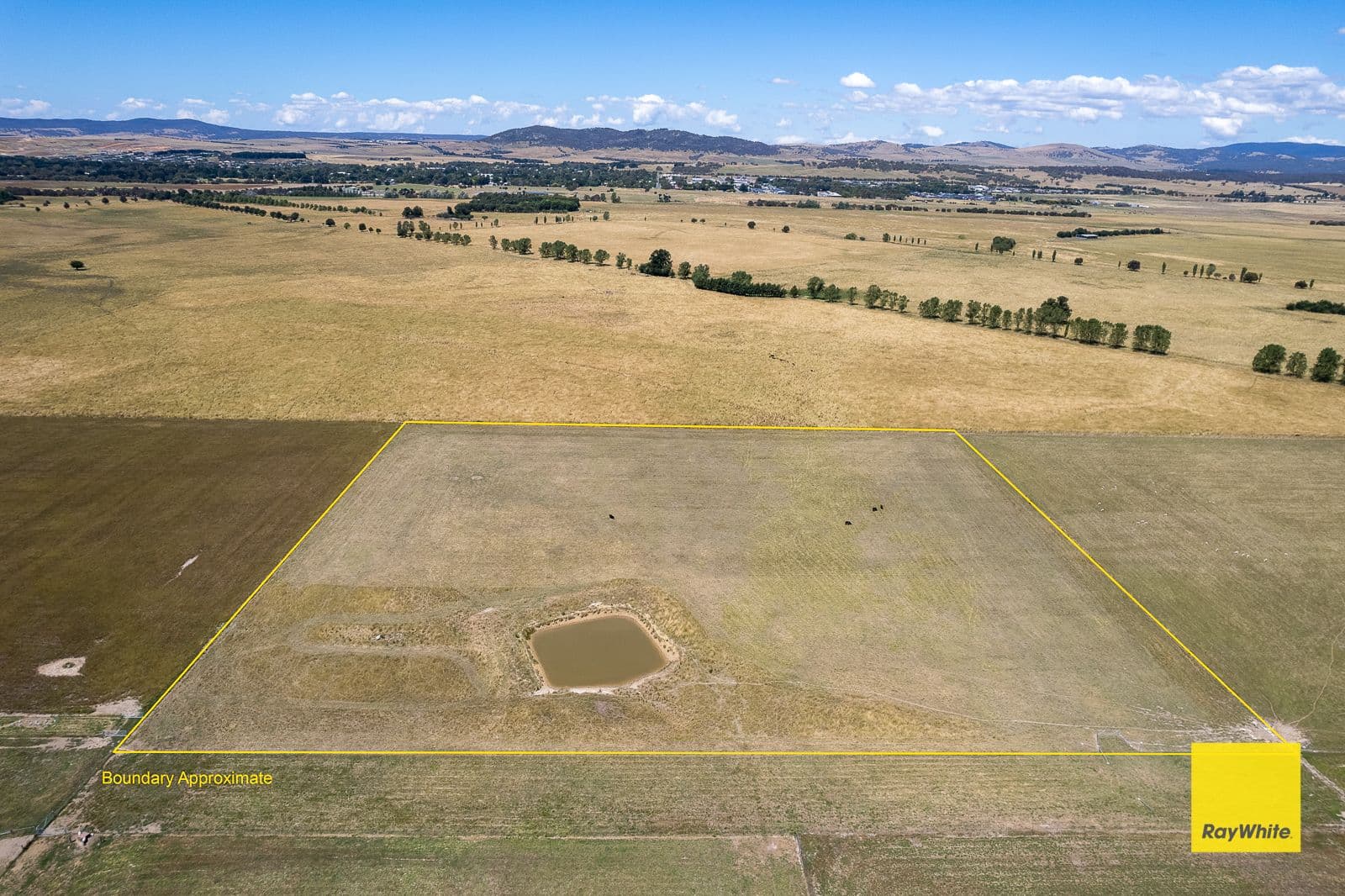 Lot 246 388 Mathews Lane, Bungendore NSW 2621, Bungendore - Thumbnail 4