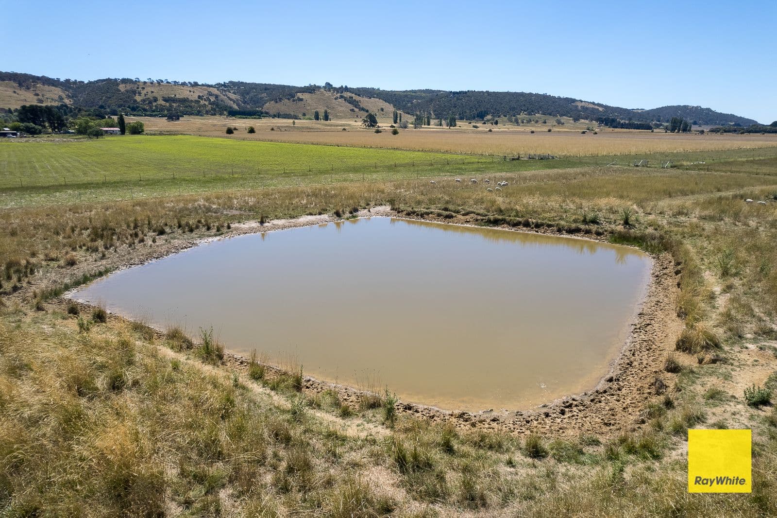 Lot 246 388 Mathews Lane, Bungendore NSW 2621, Bungendore - Thumbnail 5