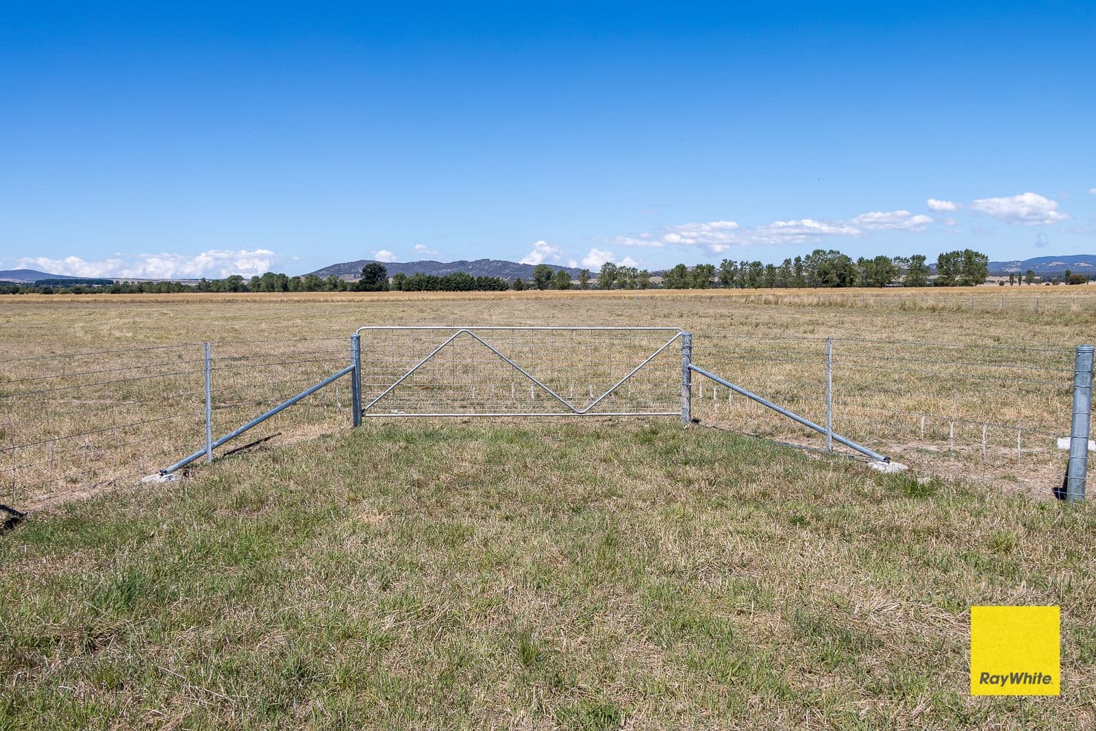 Lot 246 388 Mathews Lane, Bungendore NSW 2621, Bungendore - Thumbnail 6