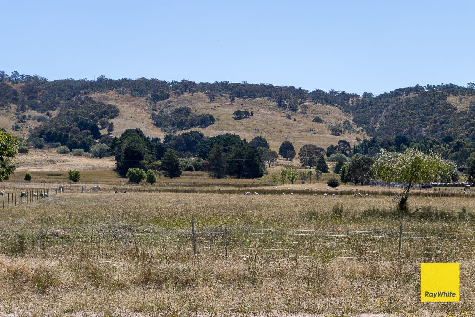 Lot 246 388 Mathews Lane, Bungendore NSW 2621, Bungendore - Thumbnail 7