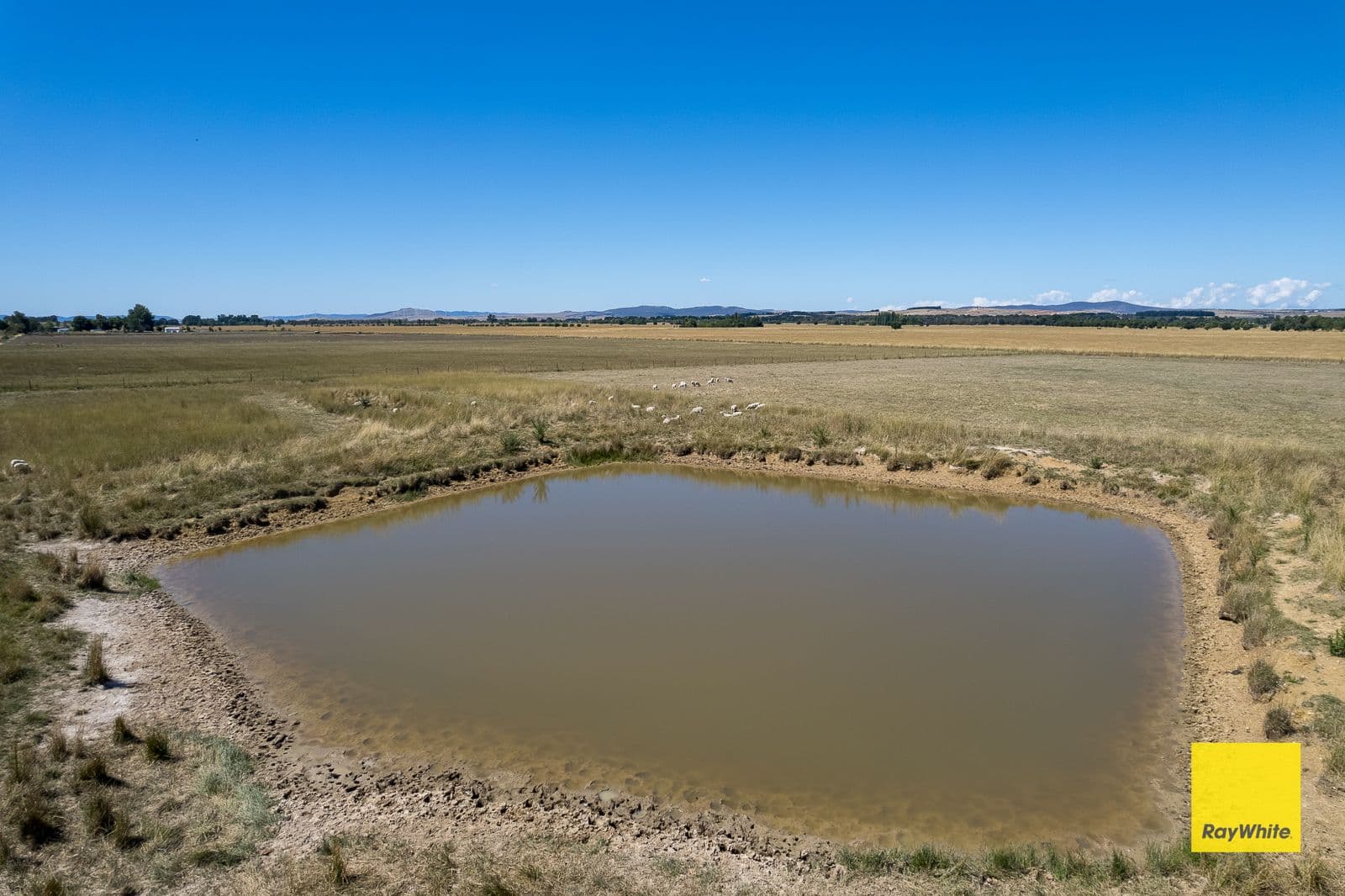 Lot 246 388 Mathews Lane, Bungendore NSW 2621, Bungendore - Thumbnail 8