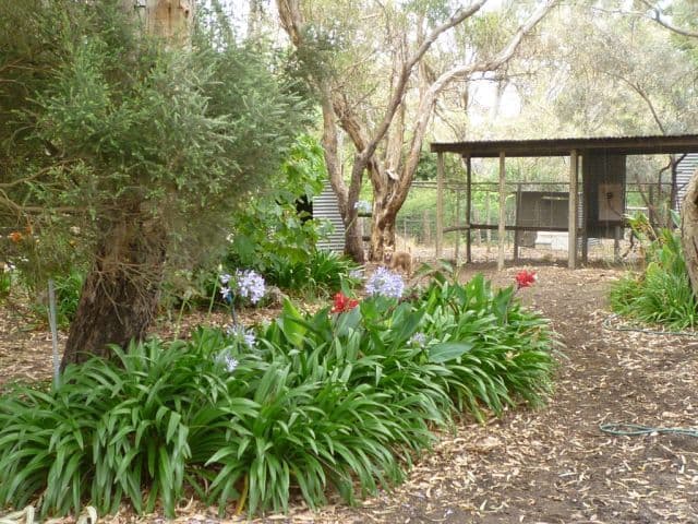 252 Blewitt Springs Road, MCLAREN FLAT SA 5171, McLaren Flat - Thumbnail 7