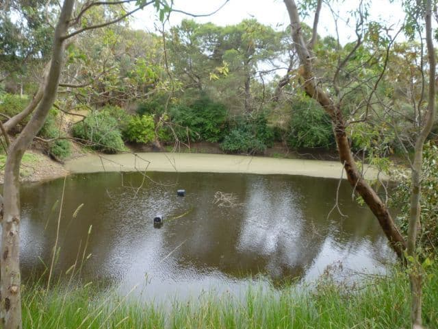 252 Blewitt Springs Road, MCLAREN FLAT SA 5171, McLaren Flat - Thumbnail 8