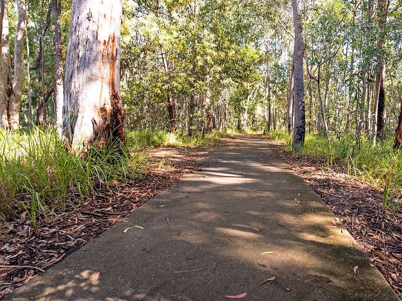 68 Sea Eagle Drive, Noosaville QLD 4566, Noosaville - Thumbnail 8