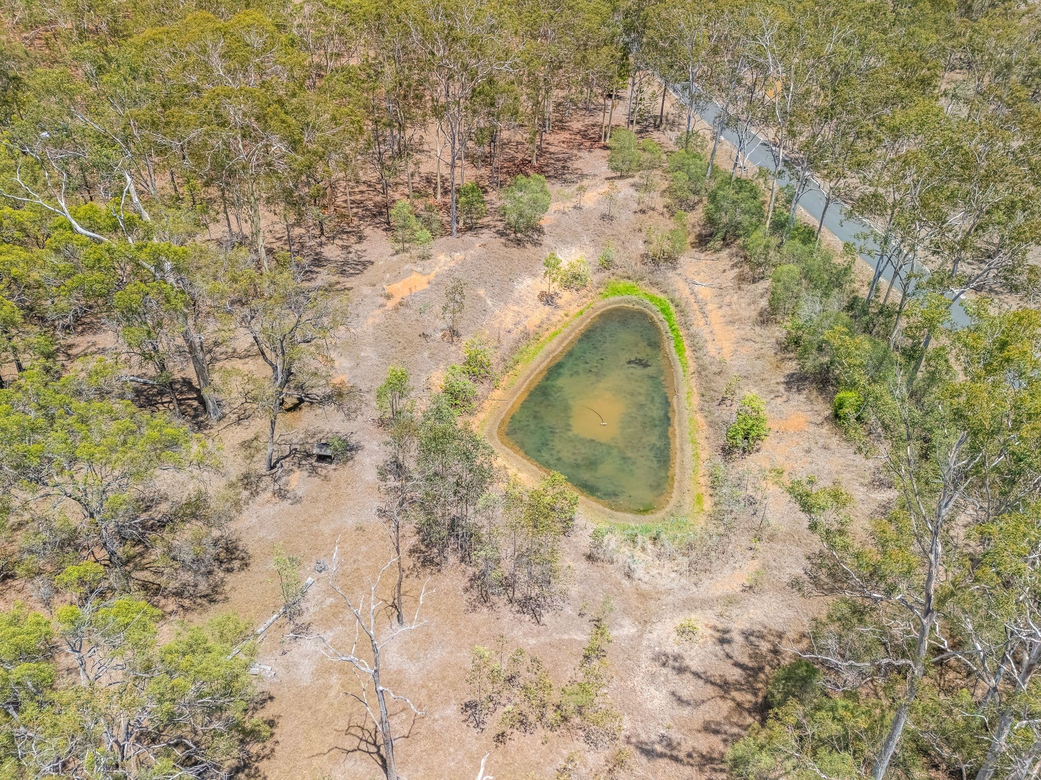 103 Jefferis Road, Beecher QLD 4680, Beecher - Thumbnail 4