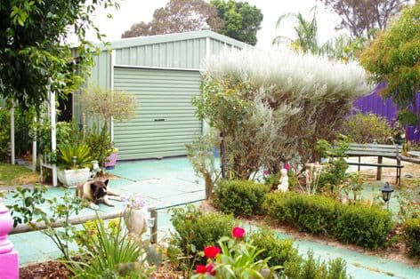 21 Bendix Way, GIRRAWHEEN WA 6064, Girrawheen - Thumbnail 6