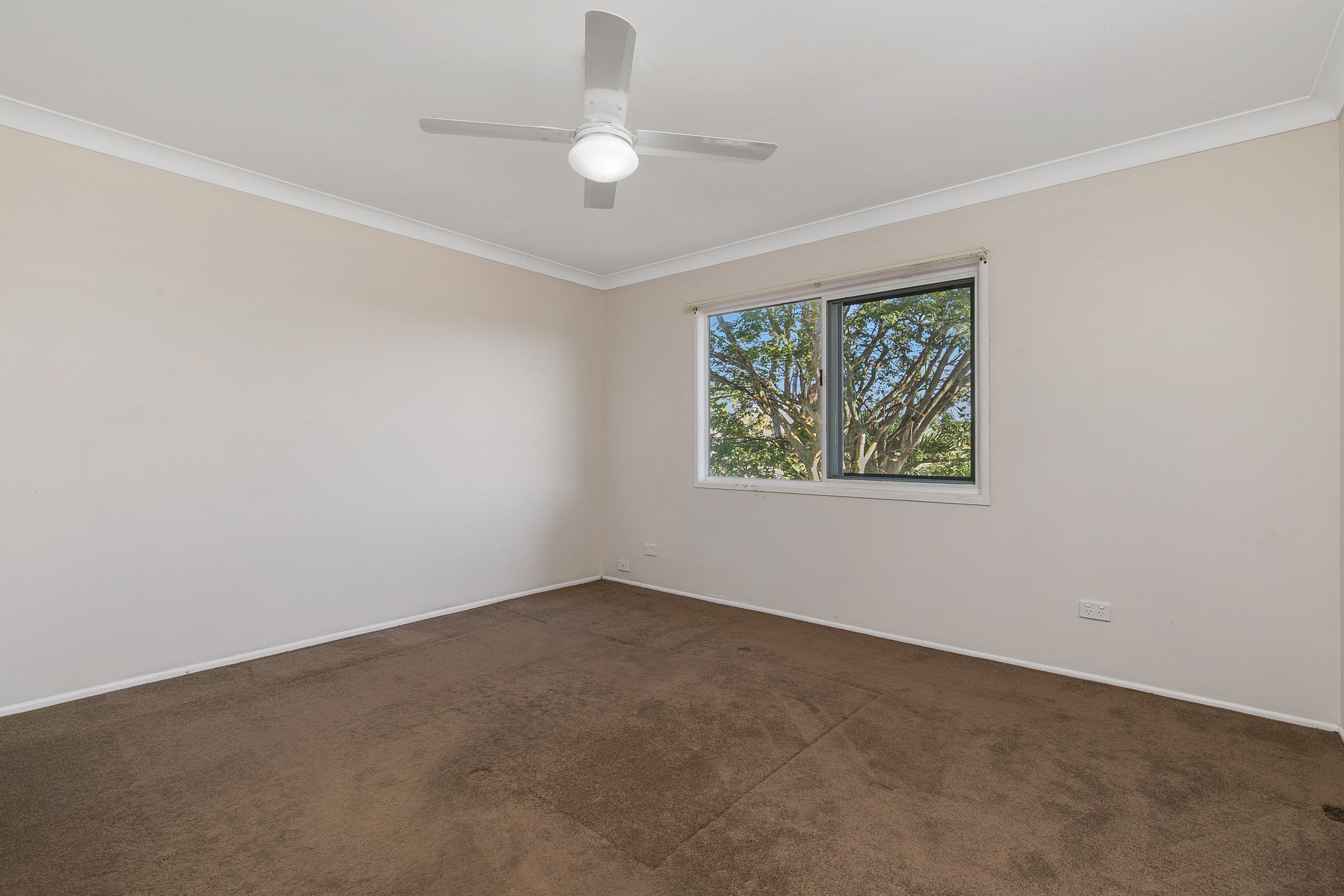 1 Consort Street, Alexandra Hills QLD 4161, Alexandra Hills - Thumbnail 6