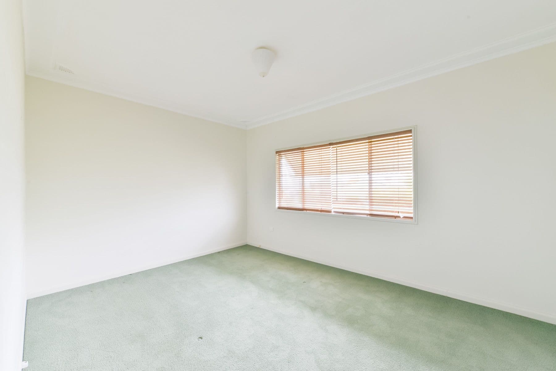 40 Oak Street, Tamworth NSW 2340, Tamworth - Thumbnail 6
