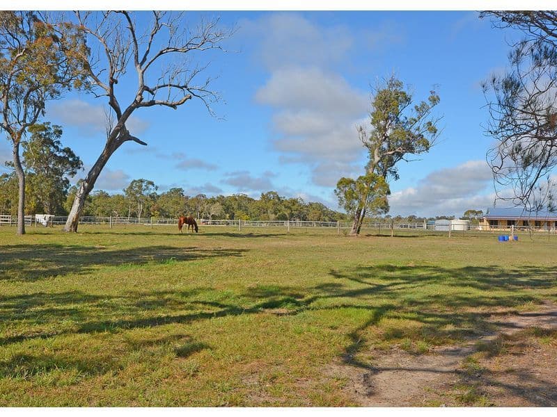 121 Curran Street, Bunya Creek QLD 4655, Bunya Creek - Thumbnail 4