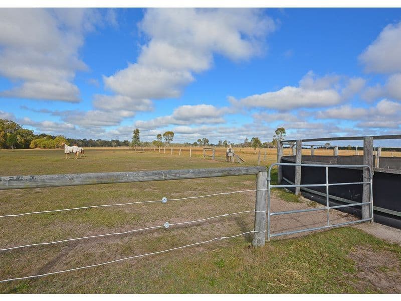 121 Curran Street, Bunya Creek QLD 4655, Bunya Creek - Thumbnail 6