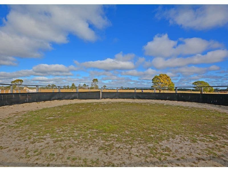 121 Curran Street, Bunya Creek QLD 4655, Bunya Creek - Thumbnail 8