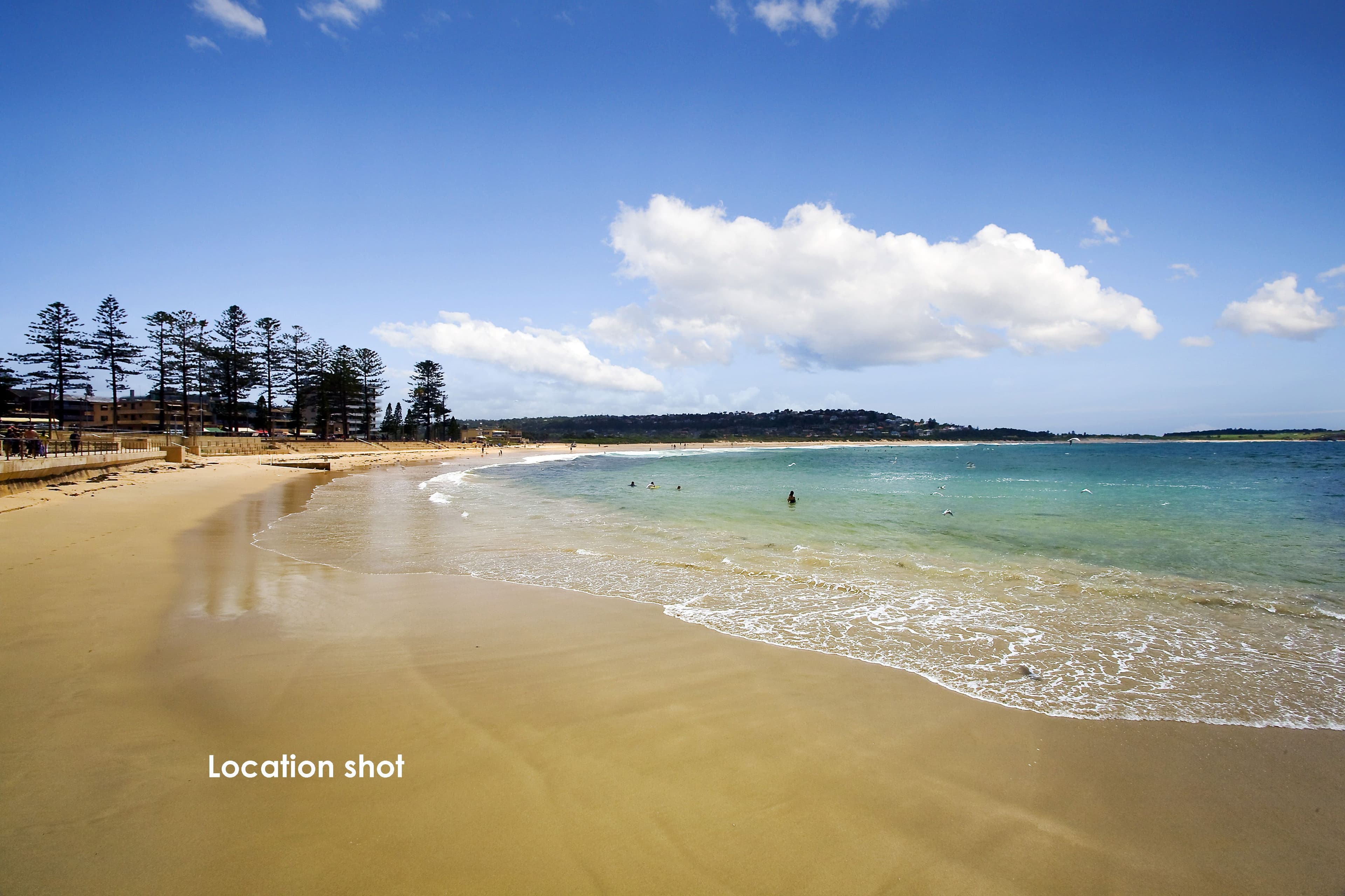 93 Pacific Parade, Dee Why NSW 2099, Dee Why - Thumbnail 6