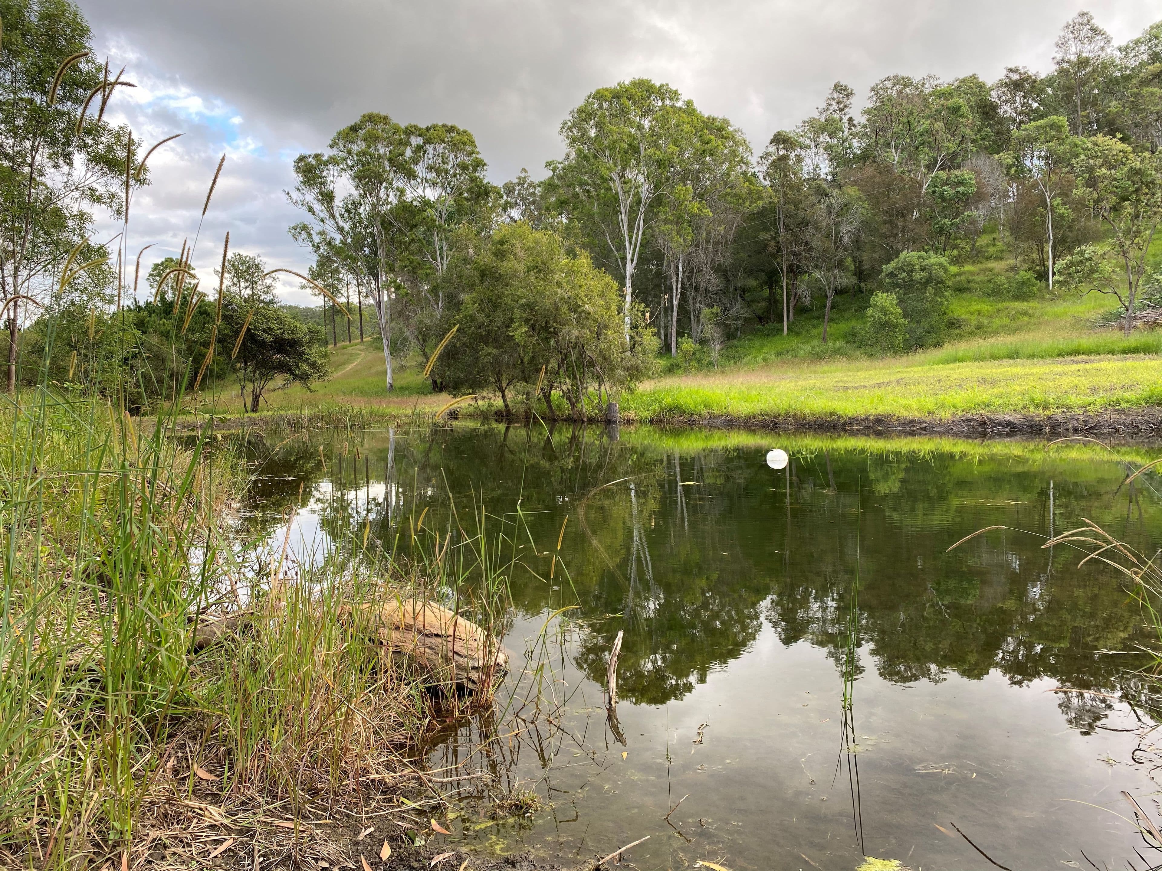 Gate 60 Dayboro Road, Rush Creek QLD 4521, Rush Creek - Thumbnail 2