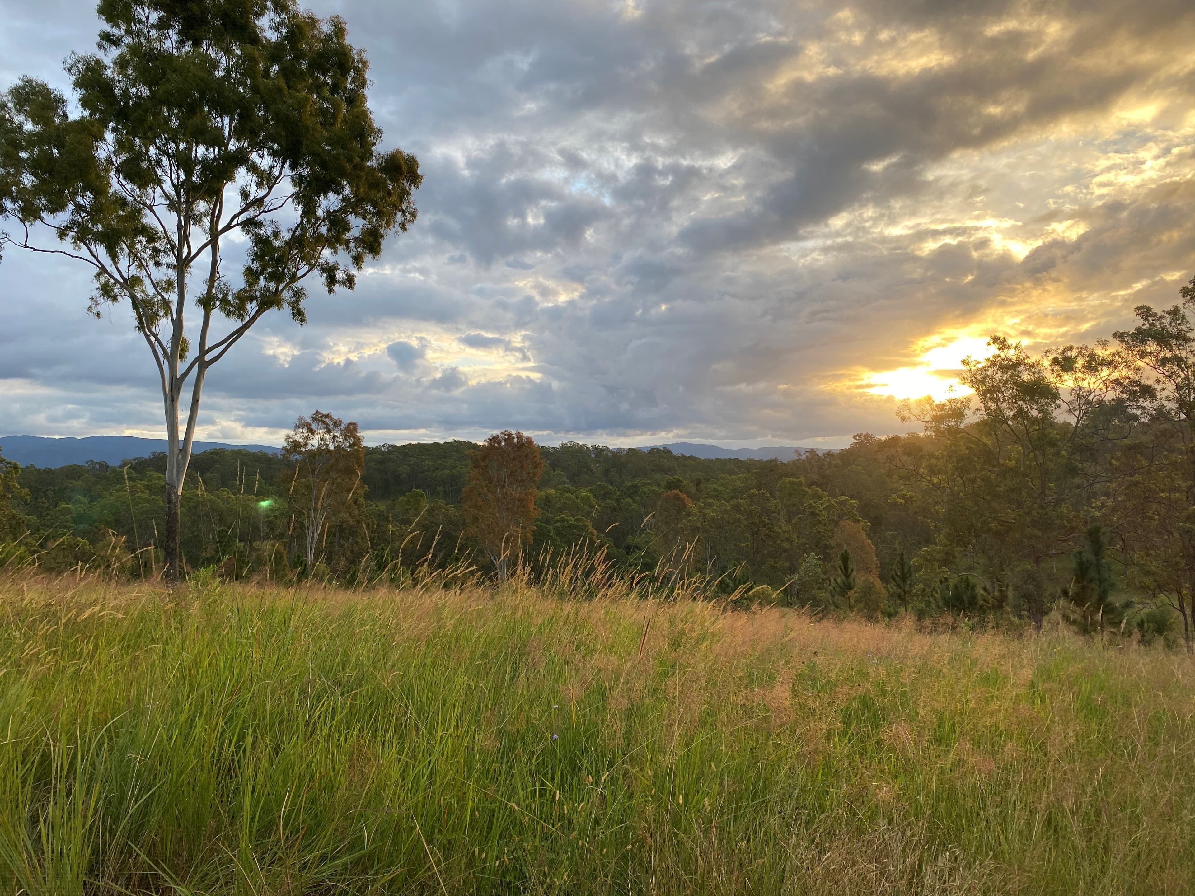 Gate 60 Dayboro Road, Rush Creek QLD 4521, Rush Creek - Thumbnail 4