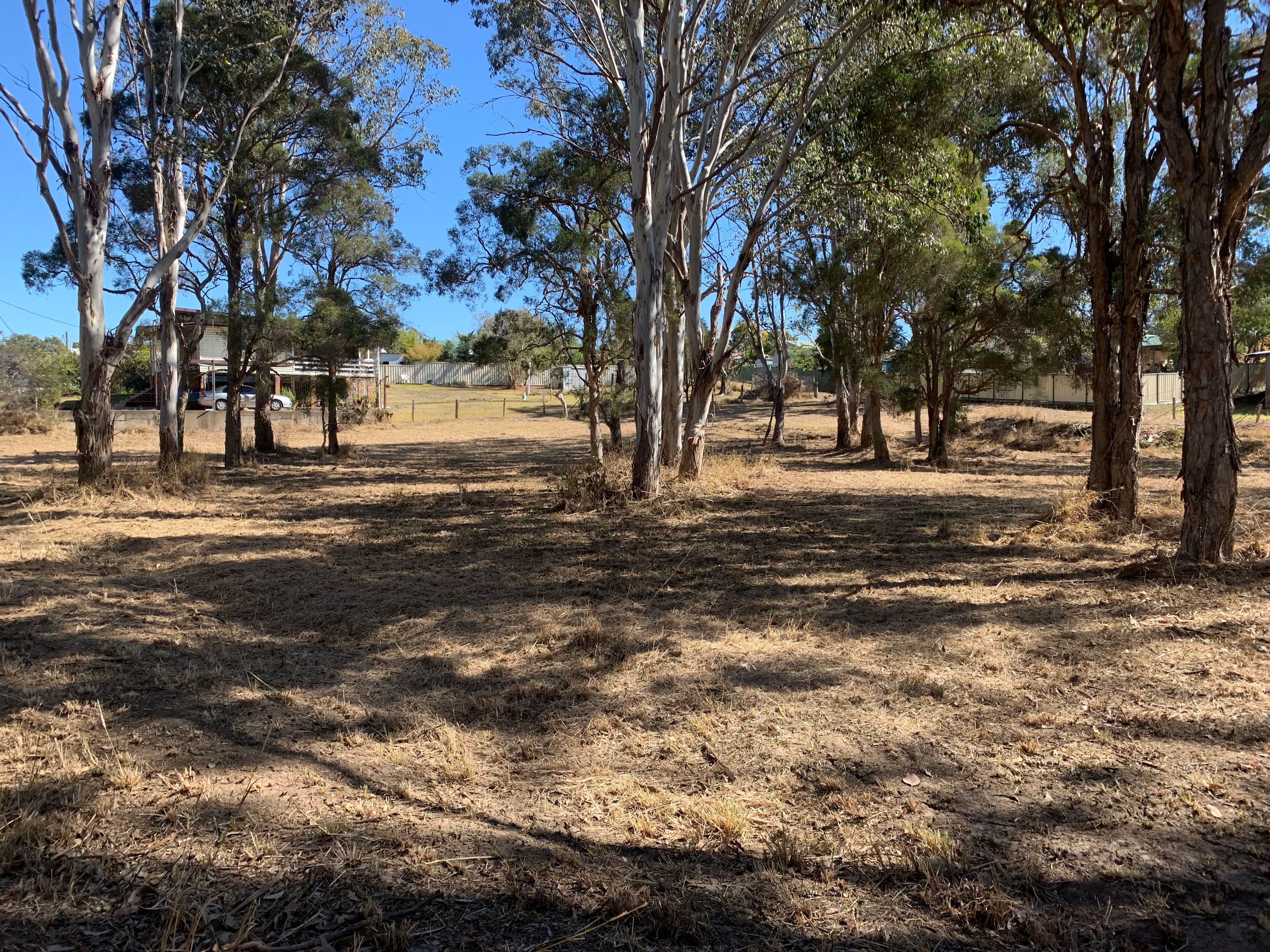 1-3, Lots 13 and 14, Allan Street, Wingham NSW 2429, Wingham - Thumbnail 3