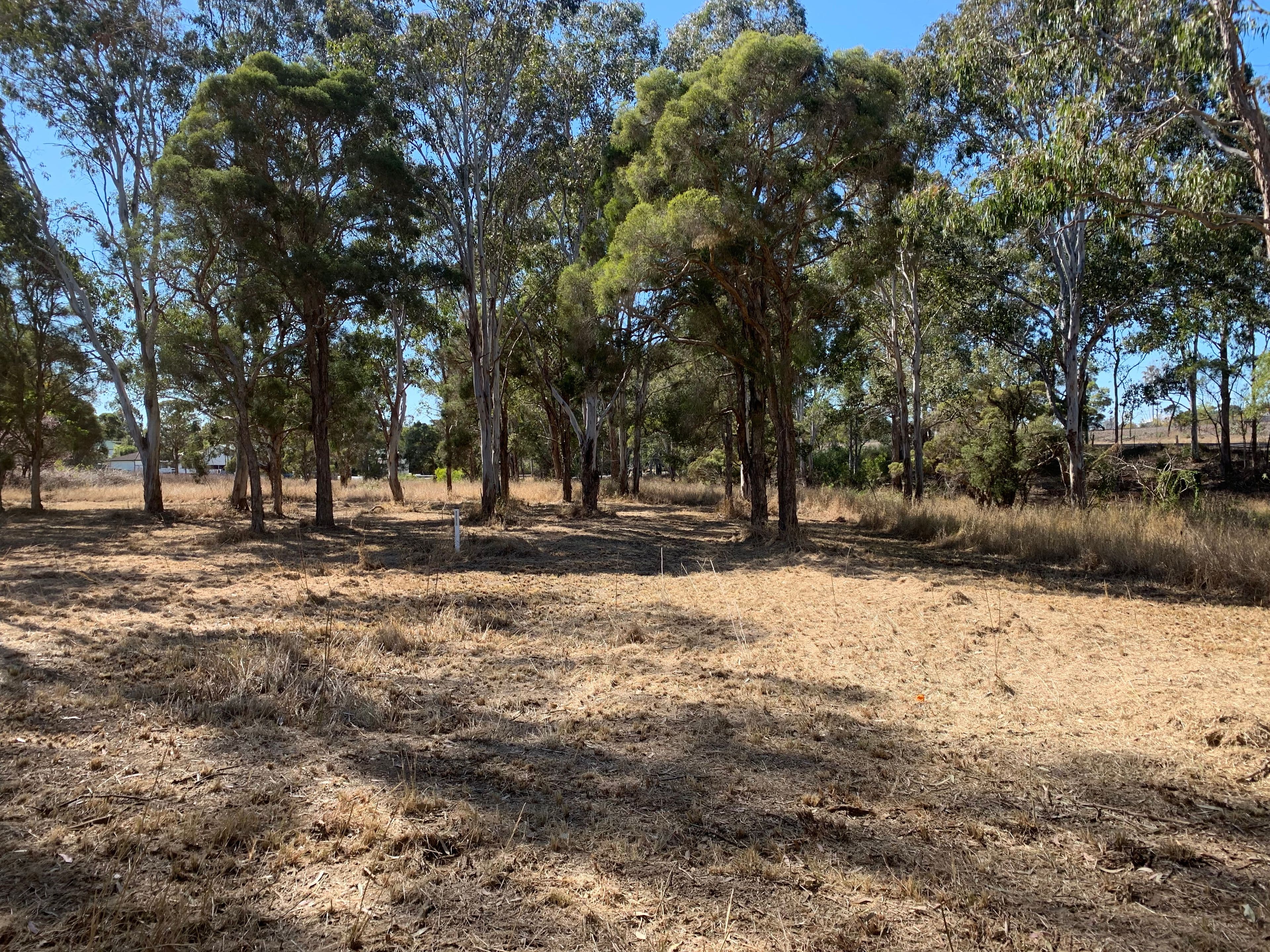 1-3, Lots 13 and 14, Allan Street, Wingham NSW 2429, Wingham - Thumbnail 4