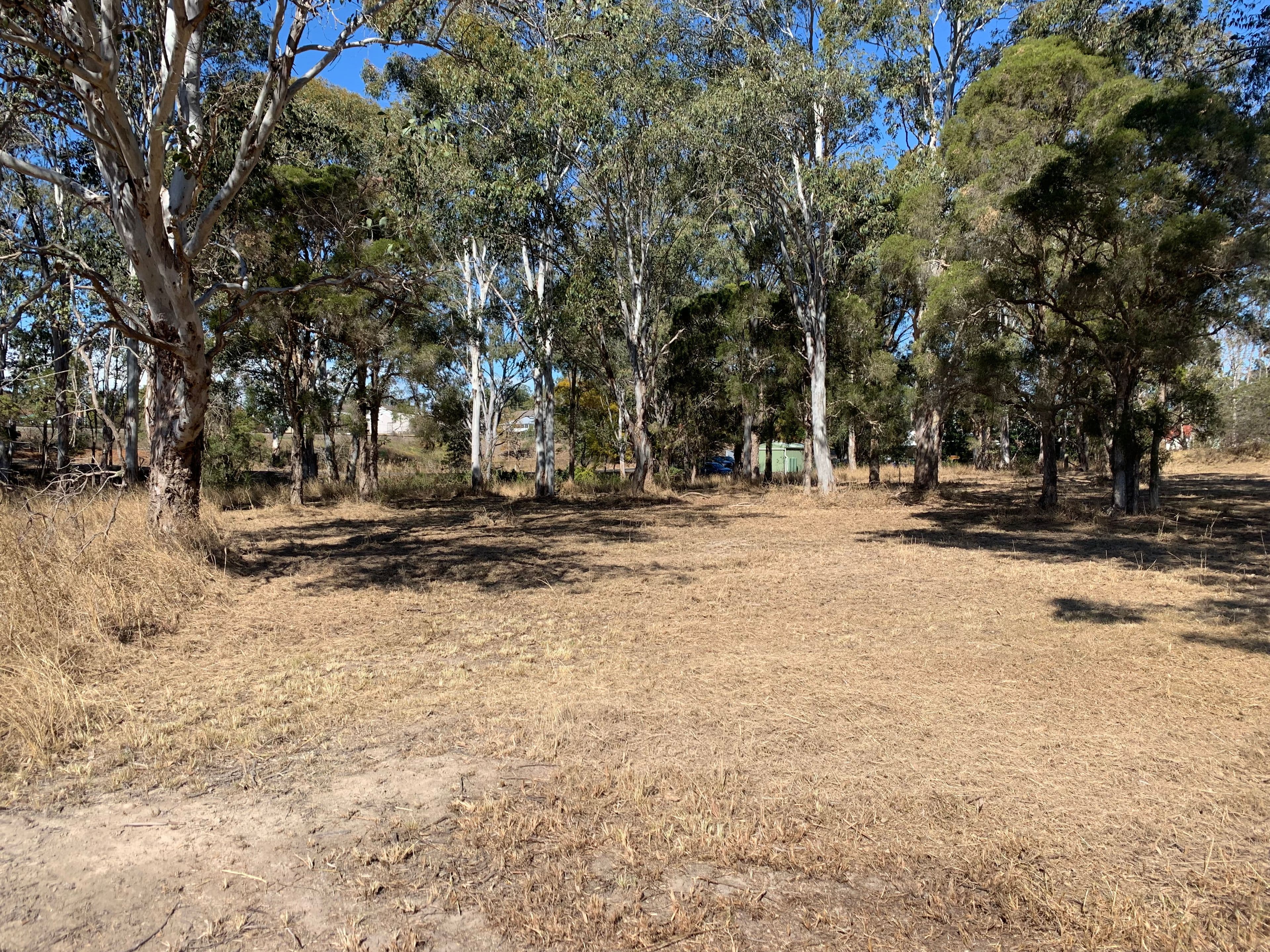 1-3, Lots 13 and 14, Allan Street, Wingham NSW 2429, Wingham - Thumbnail 5