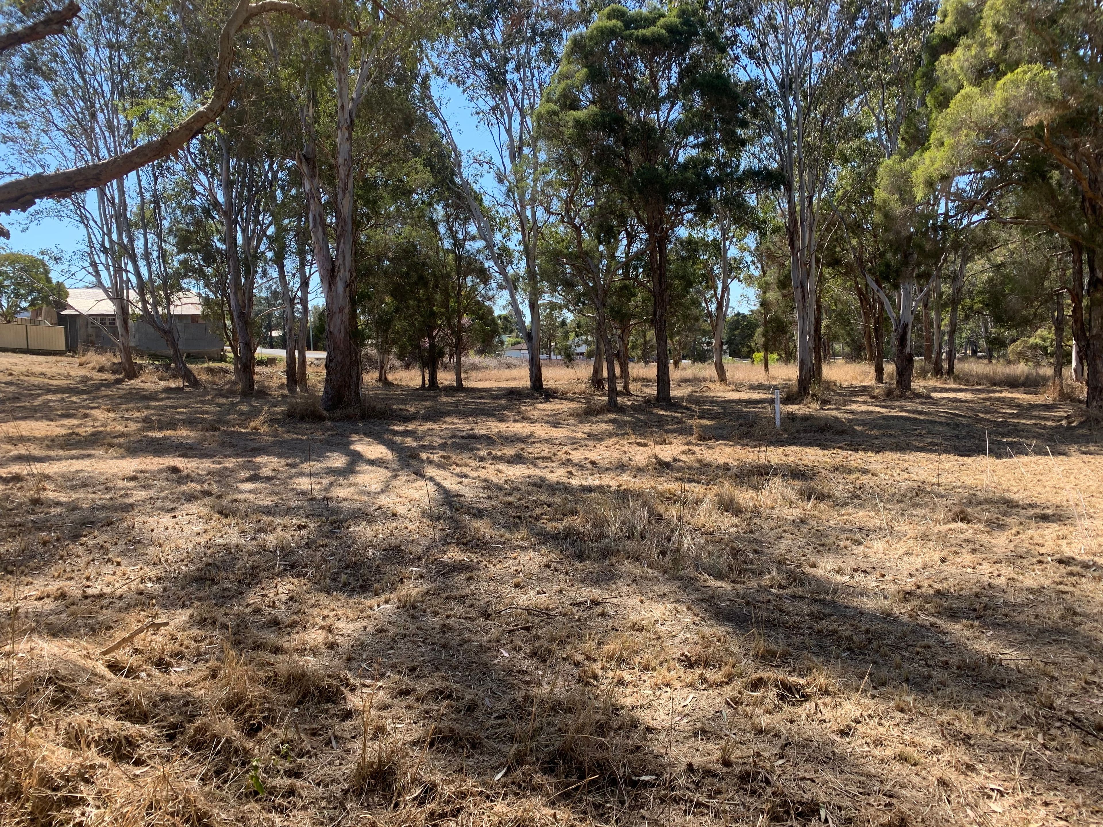 1-3, Lots 13 and 14, Allan Street, Wingham NSW 2429, Wingham - Thumbnail 8