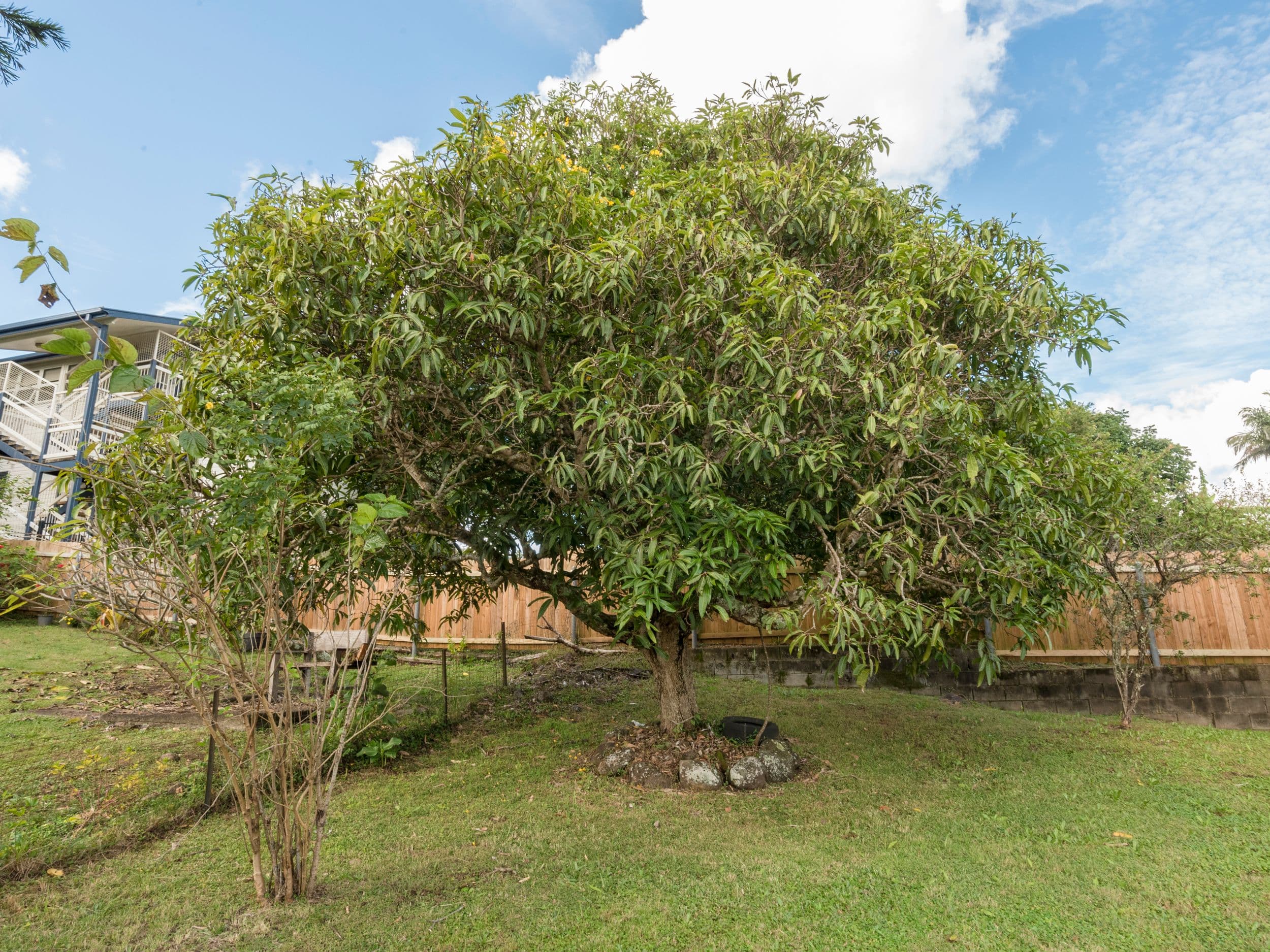 7 Milton Street, Lismore Heights NSW 2480, Lismore Heights - Thumbnail 7
