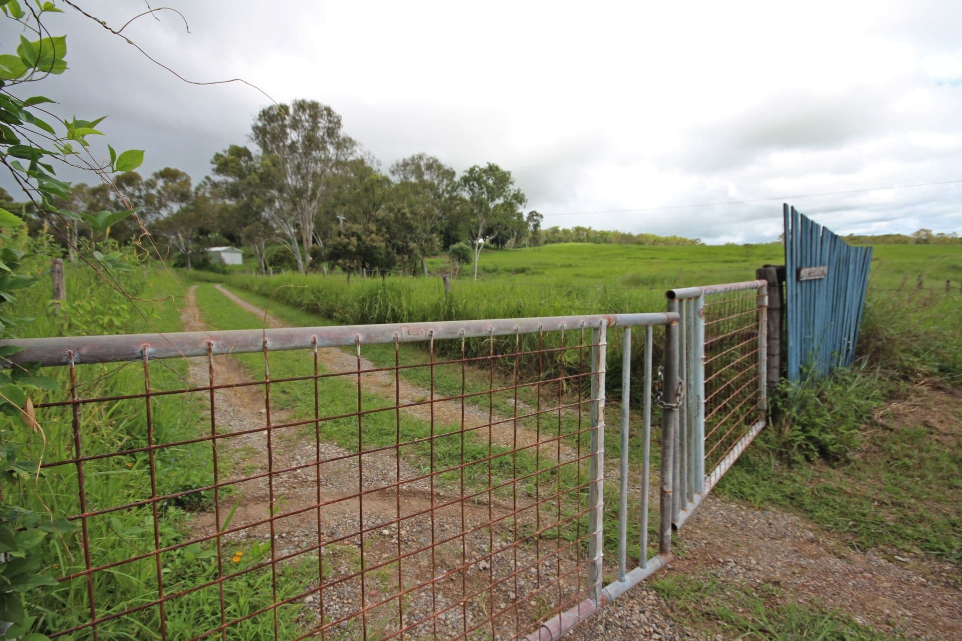 100 Droughtmaster Road, Hay Point QLD 4740, Hay Point - Thumbnail 2