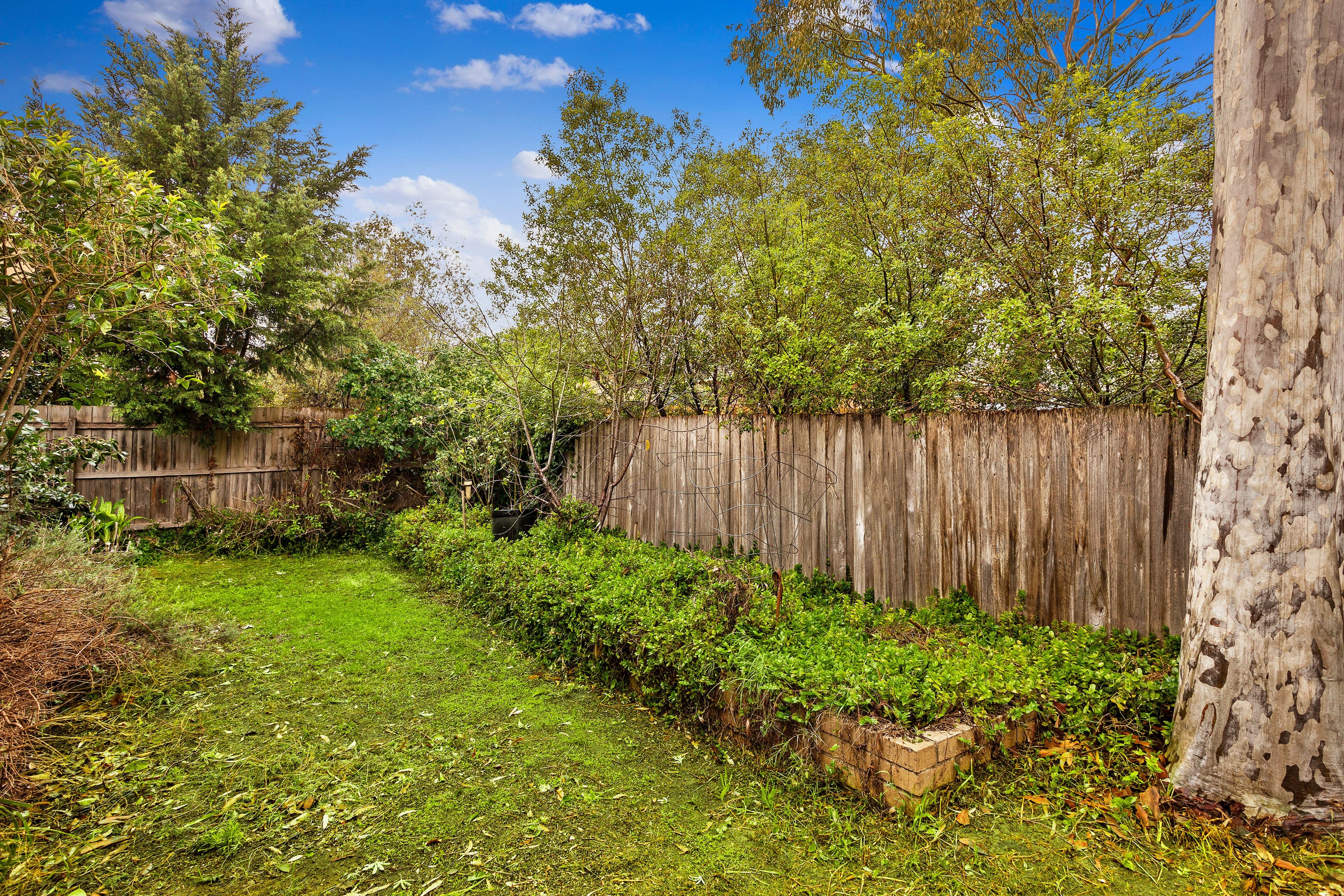 4 Bilby Street, Templestowe Lower VIC 3107, Templestowe Lower - Thumbnail 5