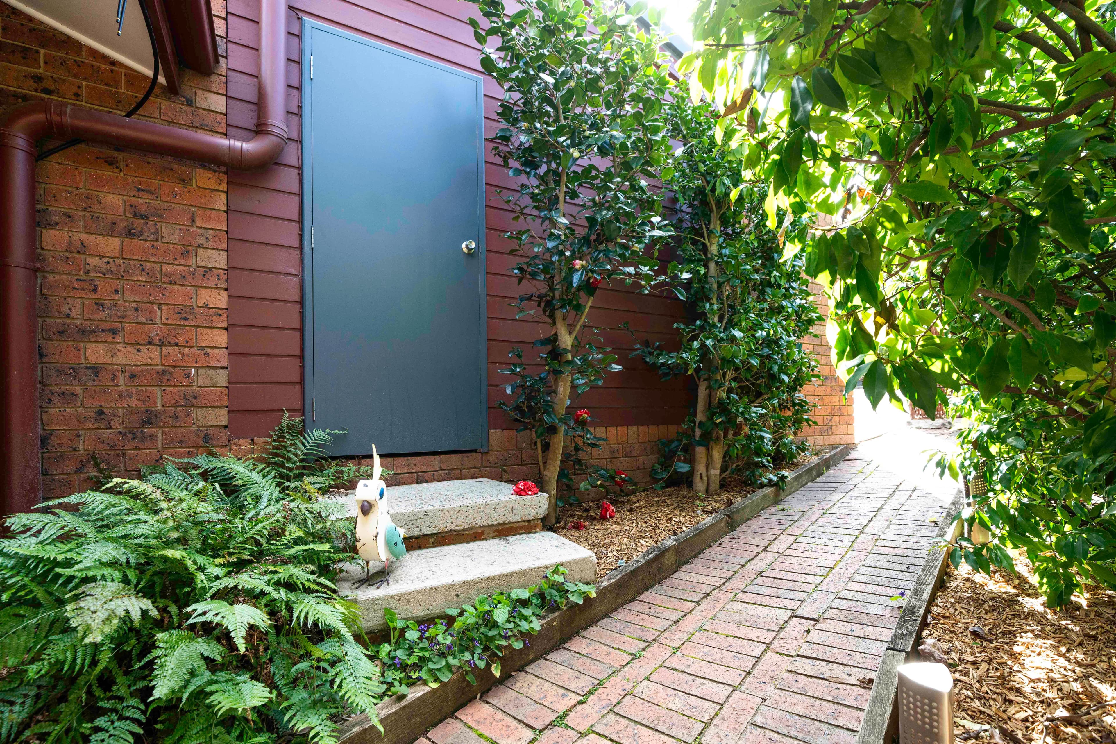 44 Bourne Street, Cook ACT 2614, Cook - Thumbnail 5