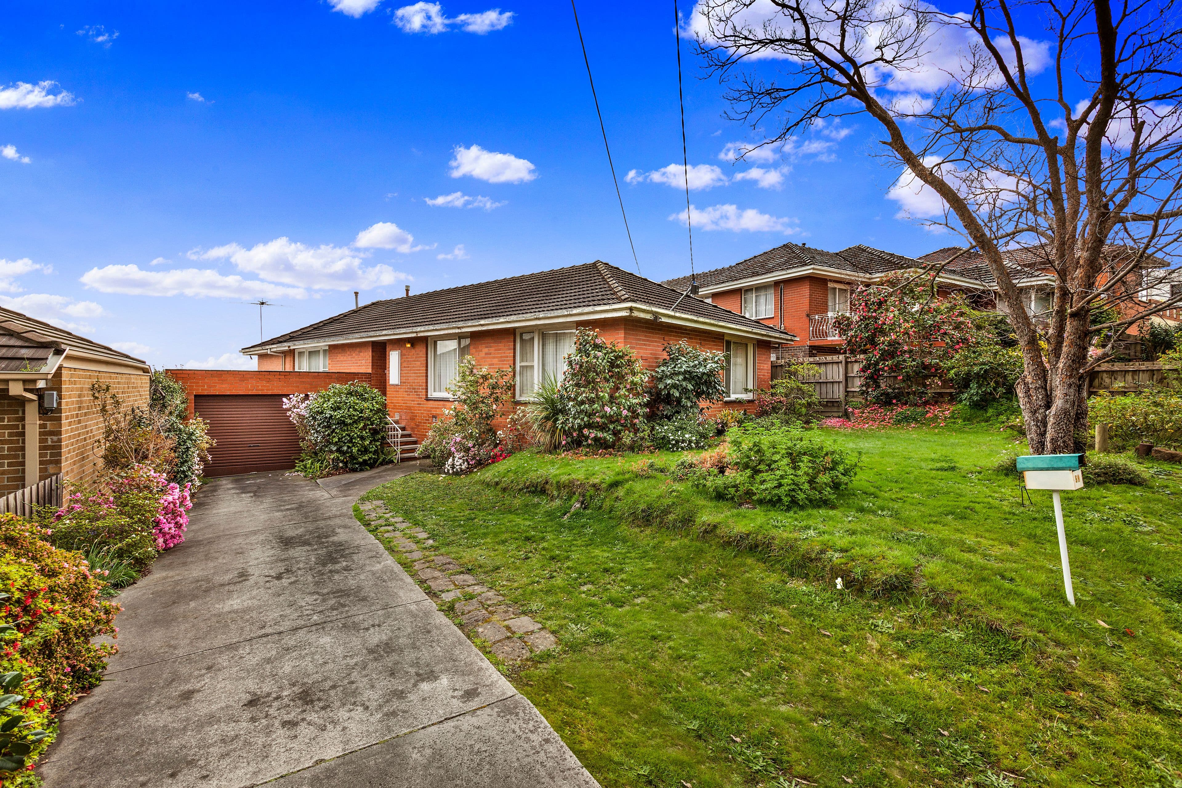 59 Hodgson Street, Templestowe Lower VIC 3107, Templestowe Lower - Thumbnail 4