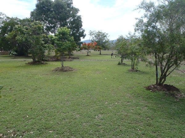 31 Bloodwood Drive, NOME QLD 4816, Nome - Thumbnail 7