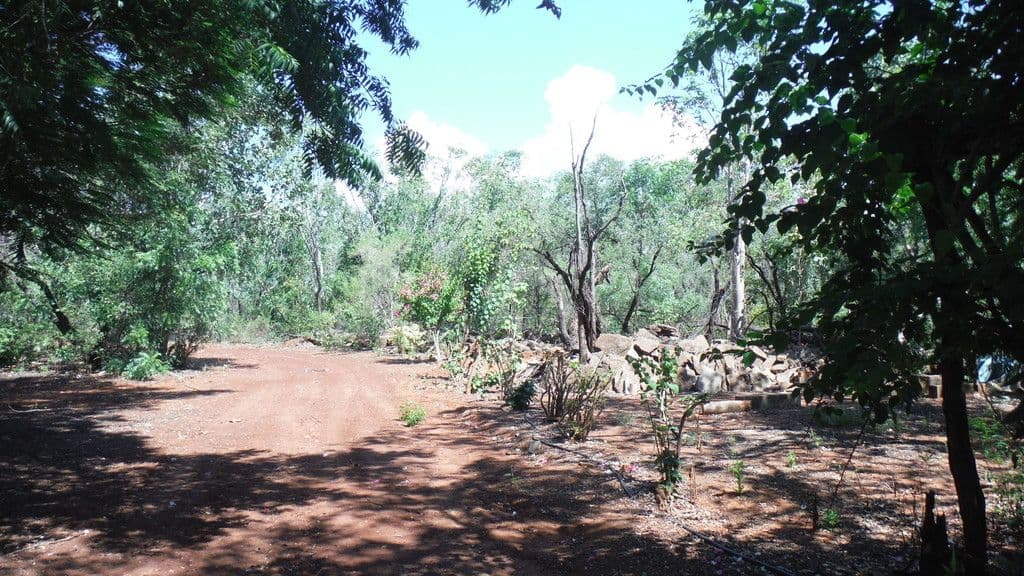 Lot 1 Savannah Way, Derby WA 6728, Derby - Thumbnail 7