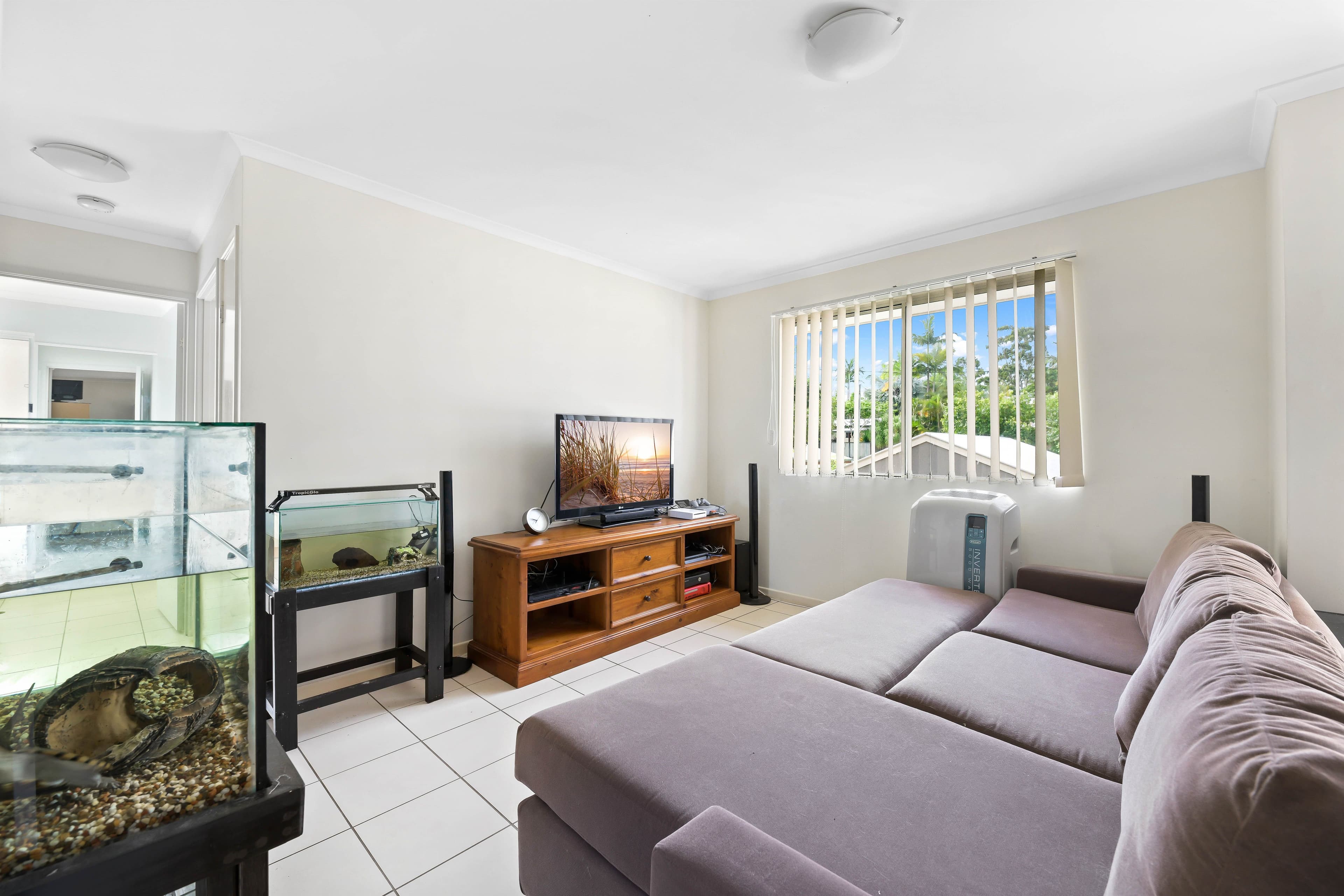 6 Low Street, Yandina QLD 4561, Yandina - Thumbnail 2