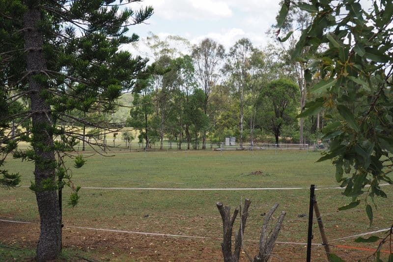 342 Pioneer Road, Mungar QLD 4650, Mungar - Thumbnail 2