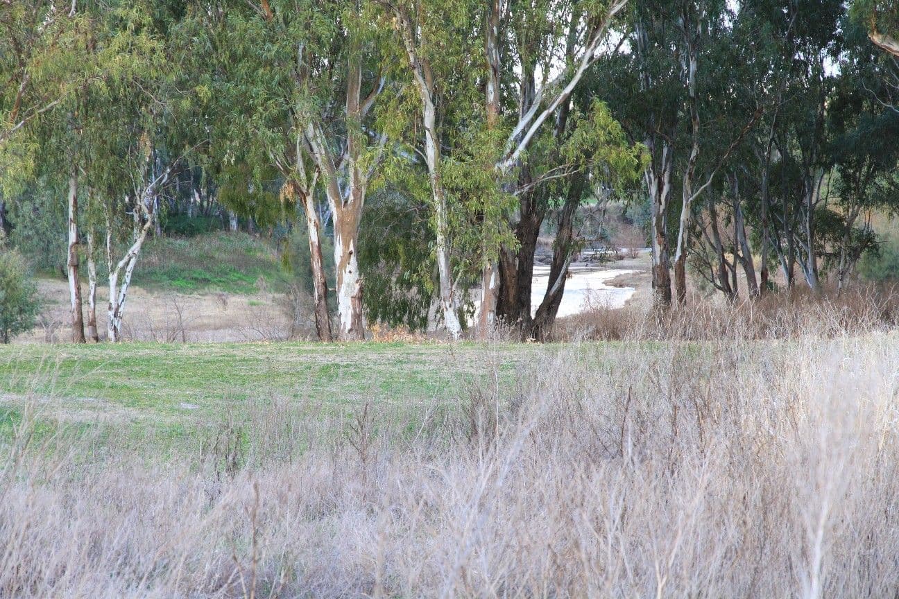 Lot 114 Riverside Drive, NARRABRI NSW 2390, Narrabri - Thumbnail 3