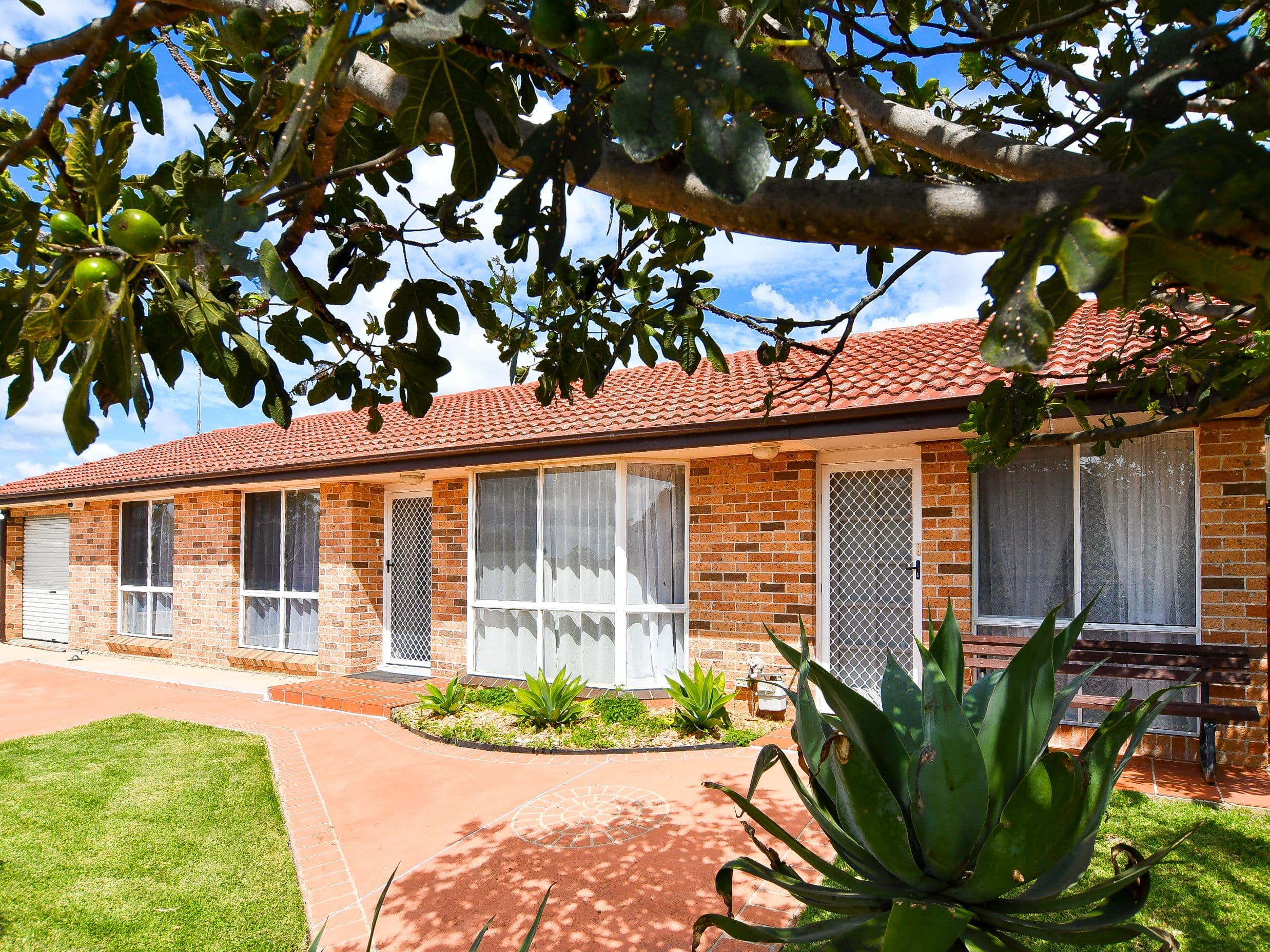 97 Harrow Road, Glenfield NSW 2167, Glenfield - Thumbnail 3