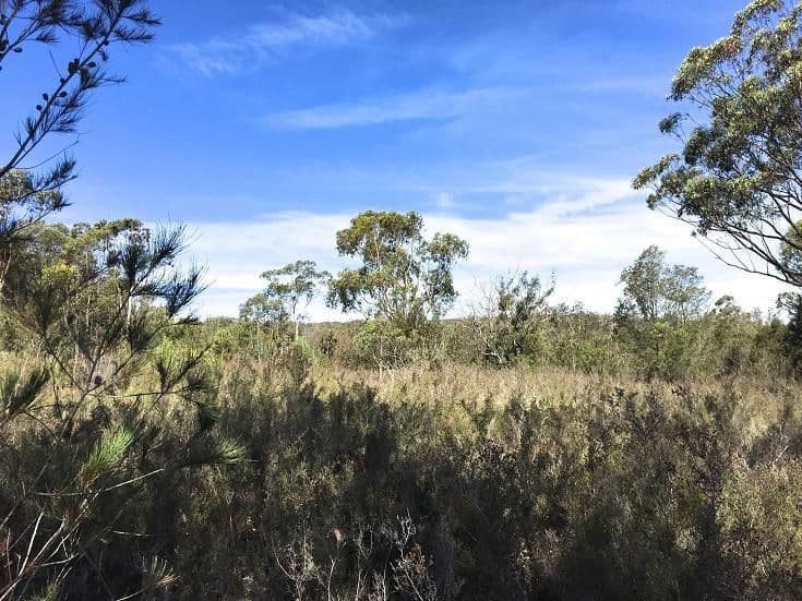 92 Mulwaree Drive, Tallong NSW 2579, Tallong - Thumbnail 2