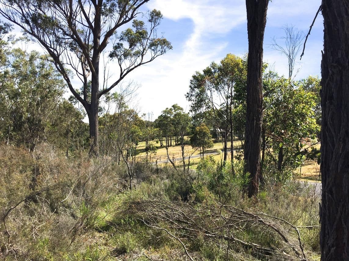 92 Mulwaree Drive, Tallong NSW 2579, Tallong - Thumbnail 3
