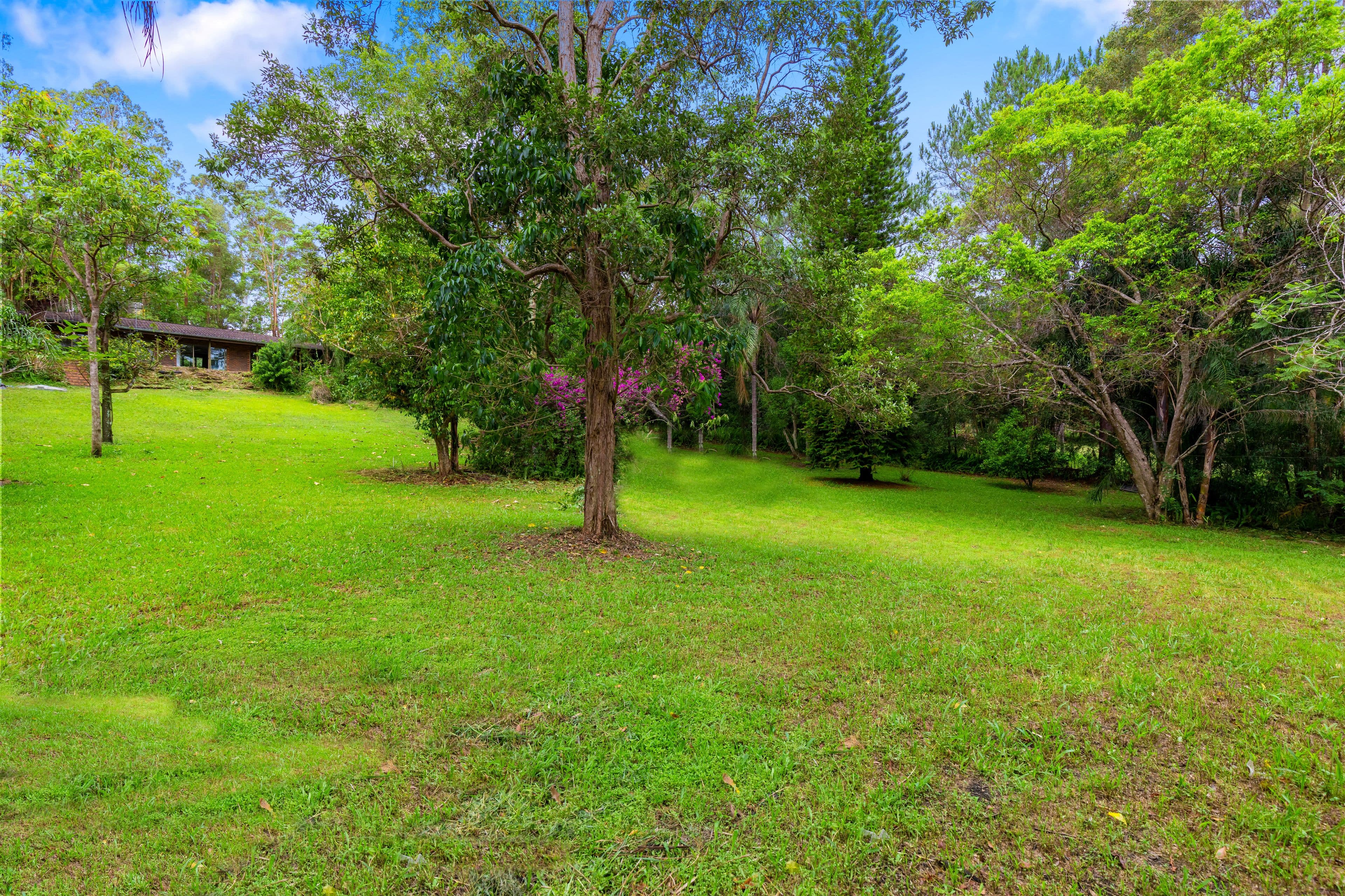 177 Neill Road, Mooloolah Valley QLD 4553, Mooloolah Valley - Thumbnail 2