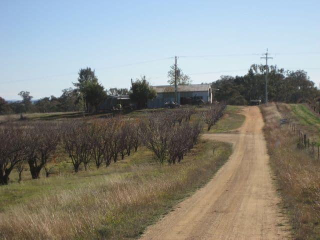 876 Boundary Road, YOUNG NSW 2594, Young - Image 1