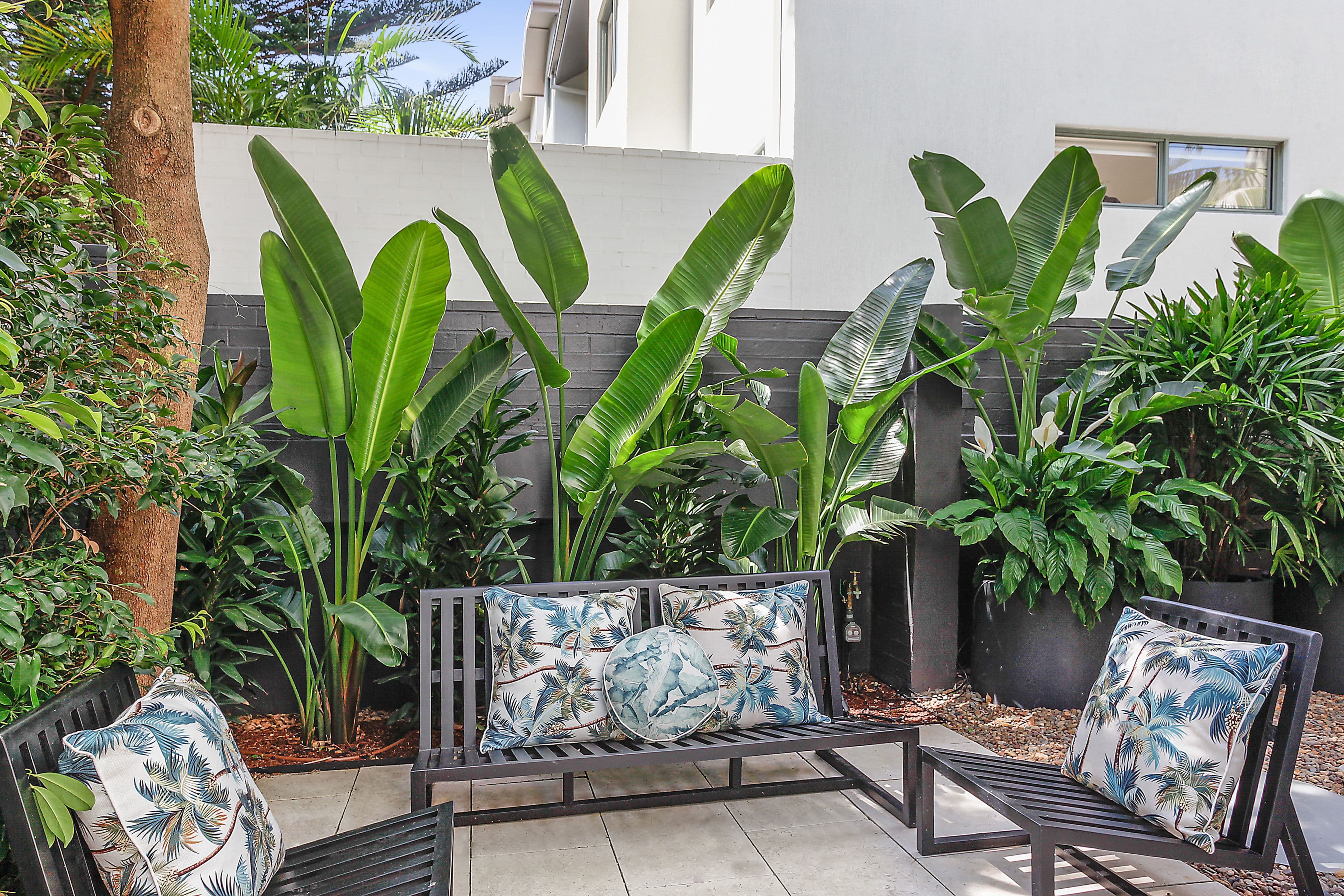 5/151 Blair Street, North Bondi NSW 2026, North Bondi - Thumbnail 4
