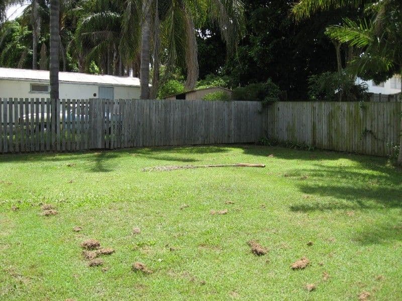 374 Finucane Road, ALEXANDRA HILLS QLD 4161, Alexandra Hills - Thumbnail 7