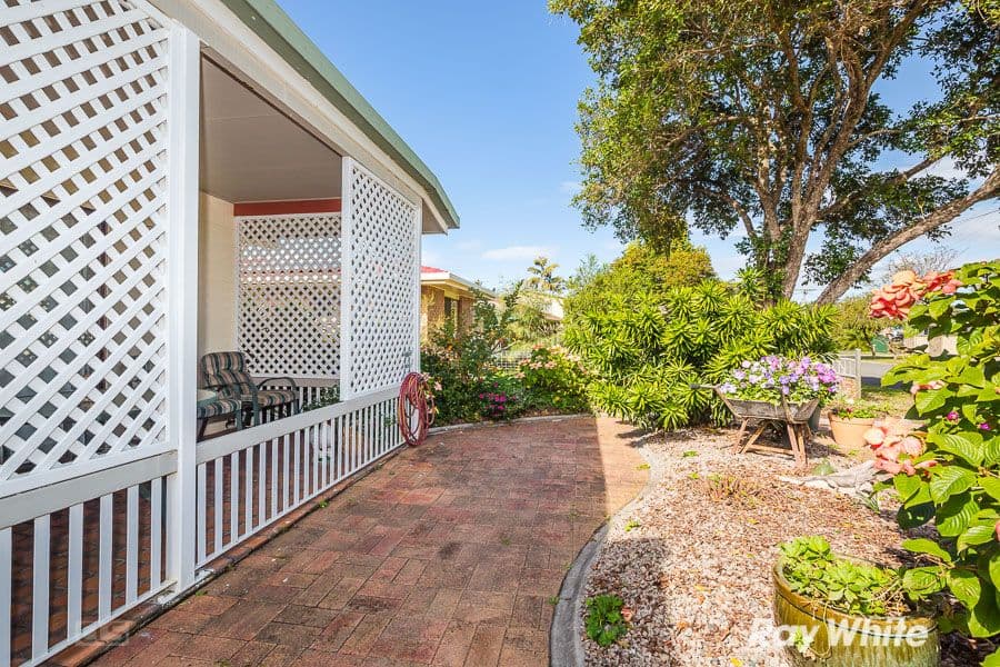 49 Jabiru Street, Bellara QLD 4507, Bellara - Thumbnail 5