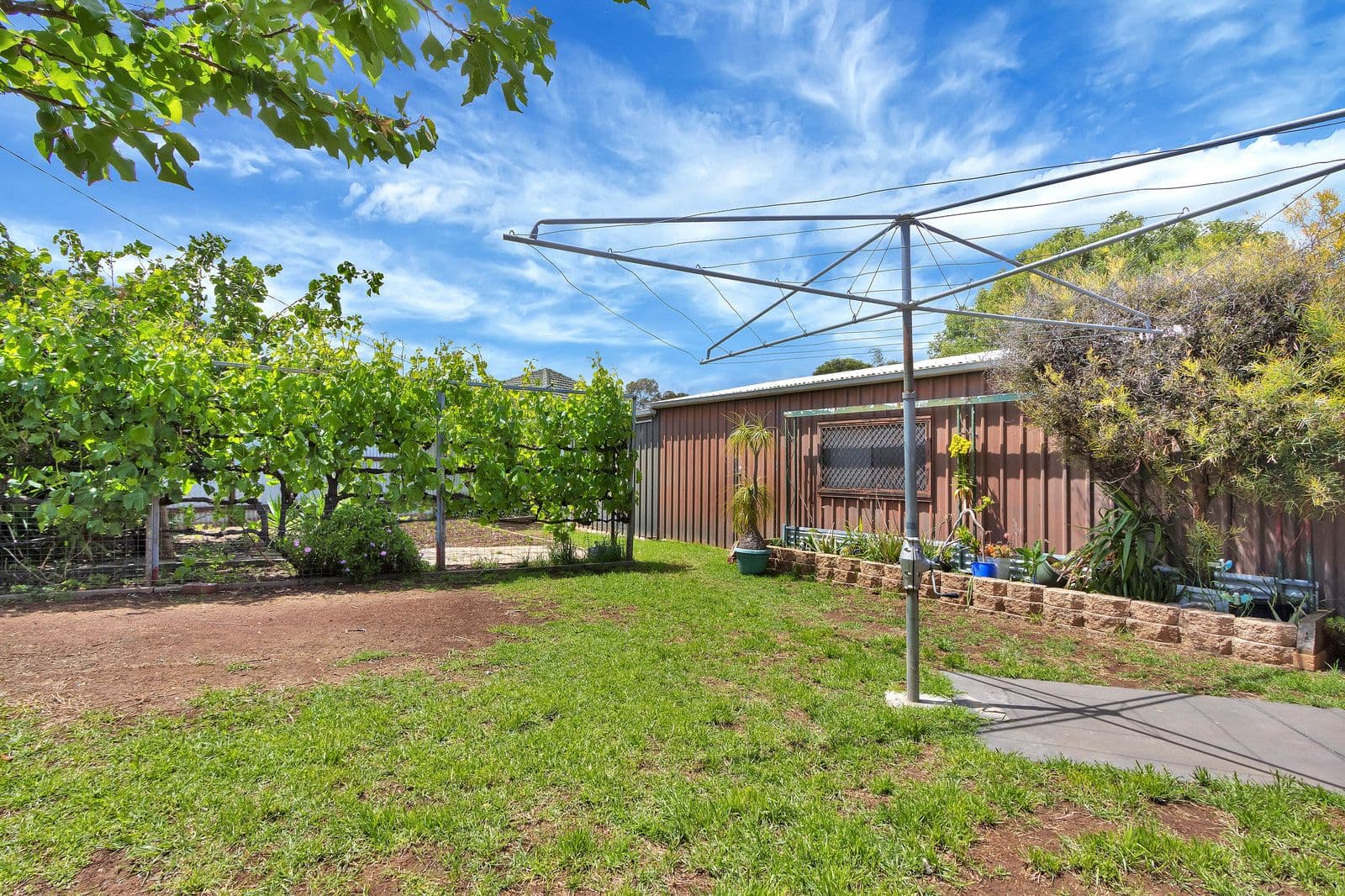 11 Anna Street, Parafield Gardens SA 5107, Parafield Gardens - Thumbnail 3