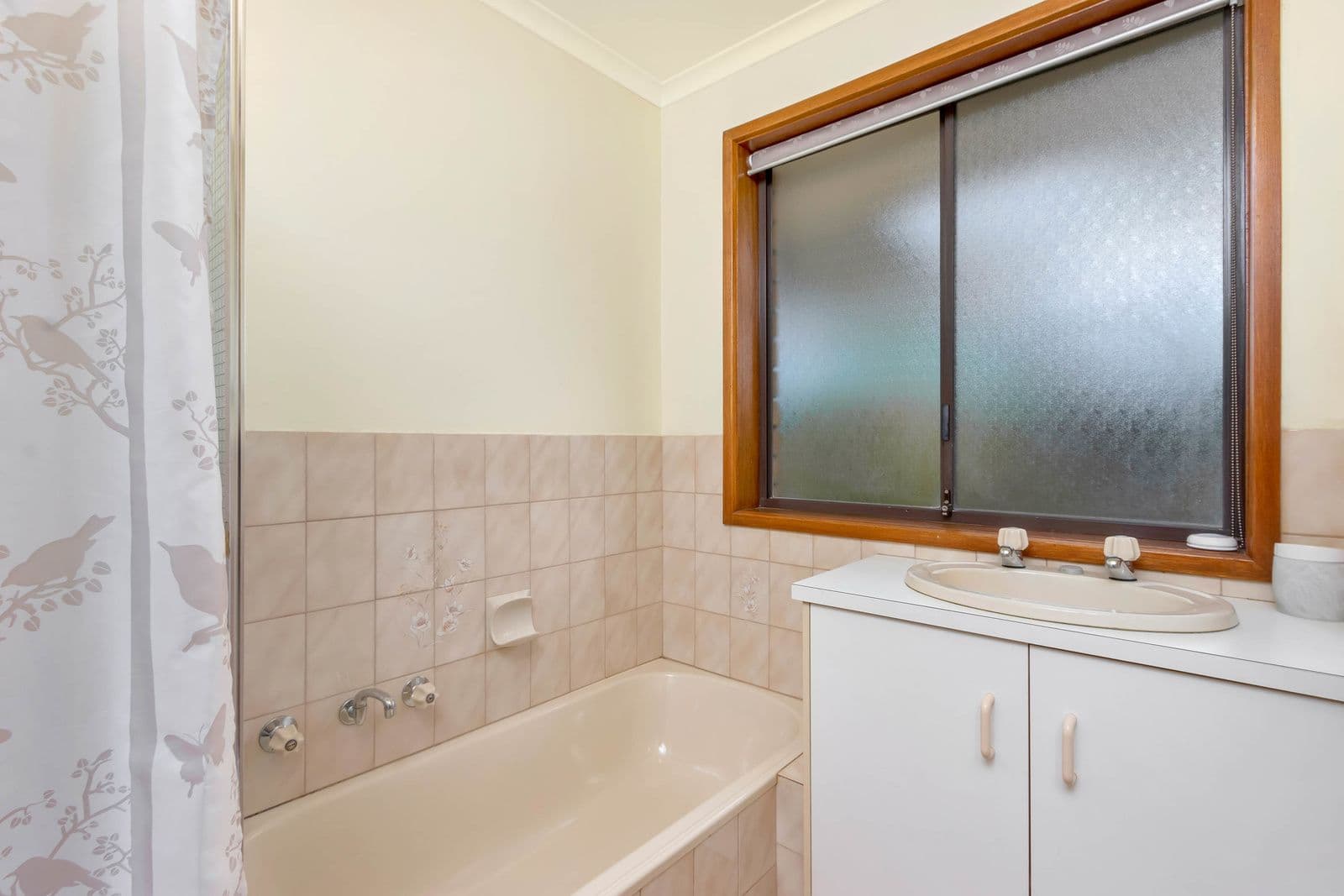 11 Anna Street, Parafield Gardens SA 5107, Parafield Gardens - Thumbnail 8
