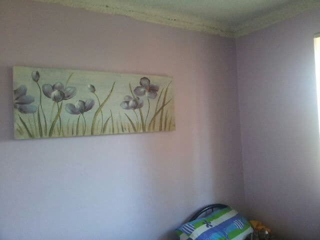 22 Nagle Street, Liverpool NSW 2170, Liverpool - Thumbnail 6