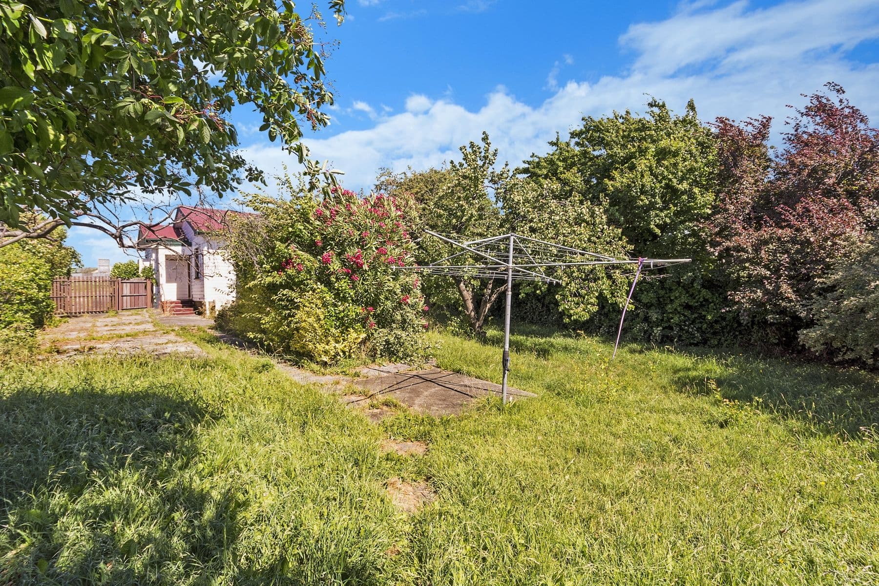 11 Eyre Street, Mayfield TAS 7248, Mayfield - Thumbnail 5