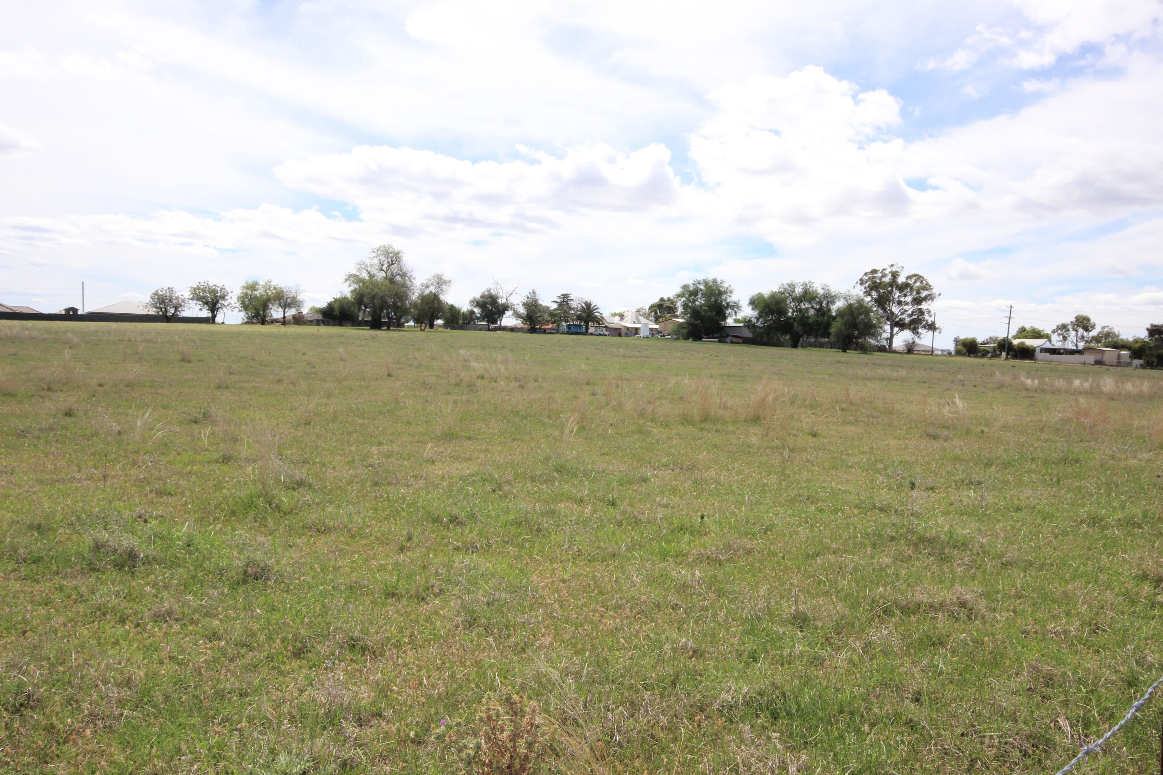 115 Flinders Street, Tamworth NSW 2340, Tamworth - Thumbnail 2
