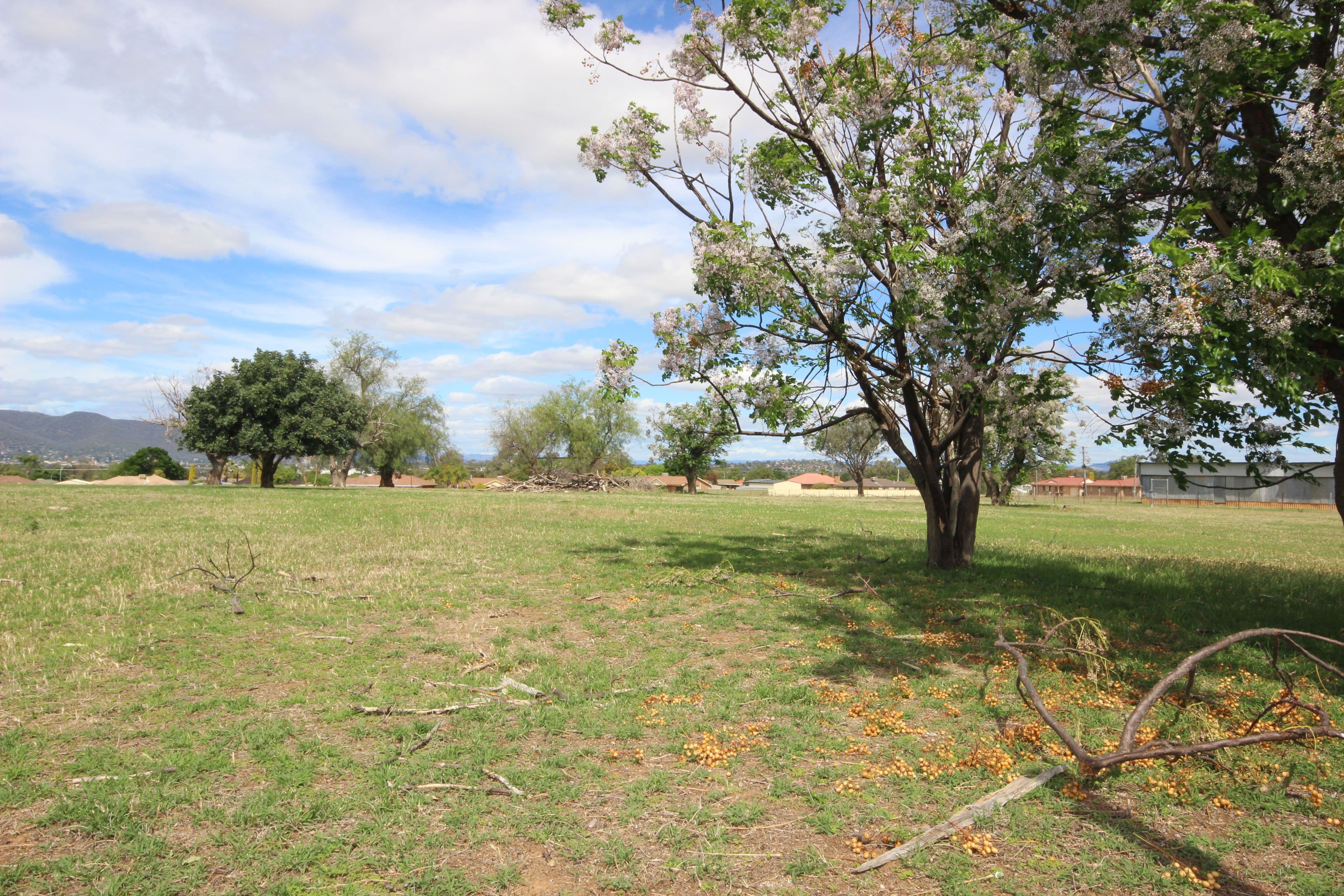 115 Flinders Street, Tamworth NSW 2340, Tamworth - Thumbnail 3